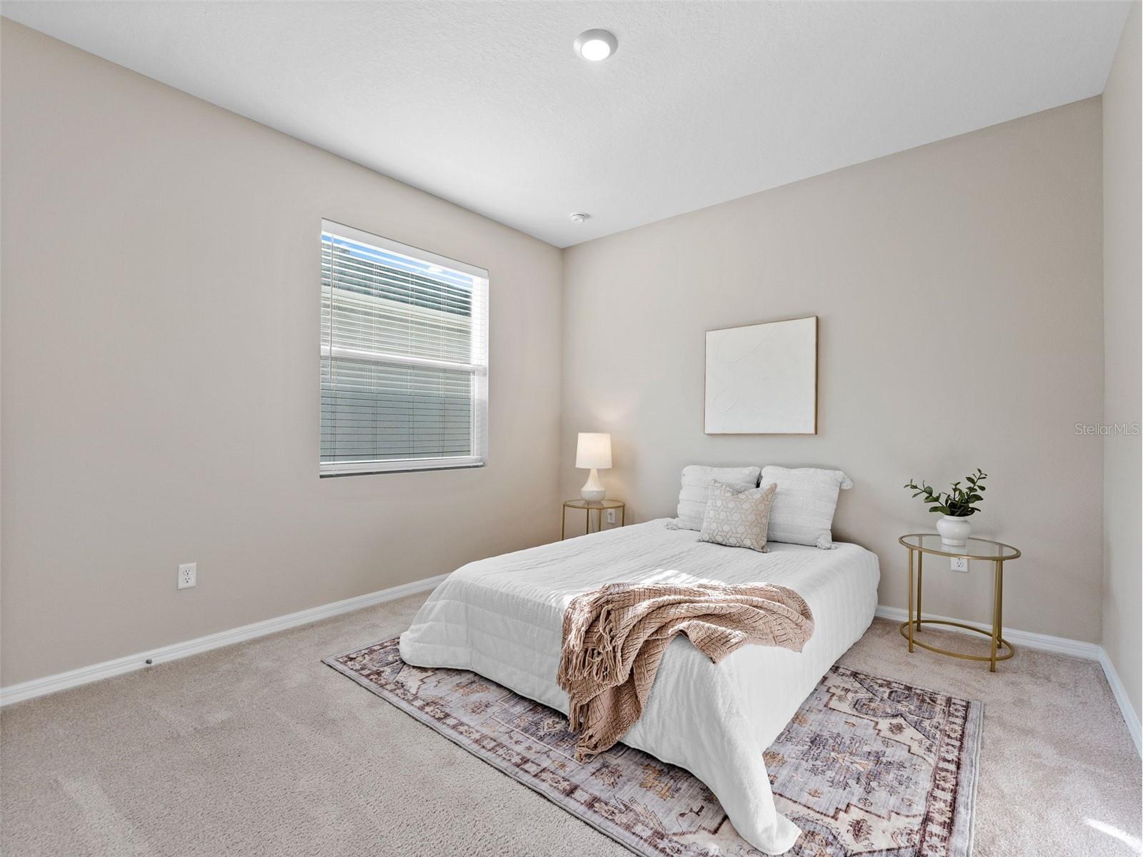 33700 Hamilton Hill Lane Wesley Chapel FL 33545 TB8492561 image14