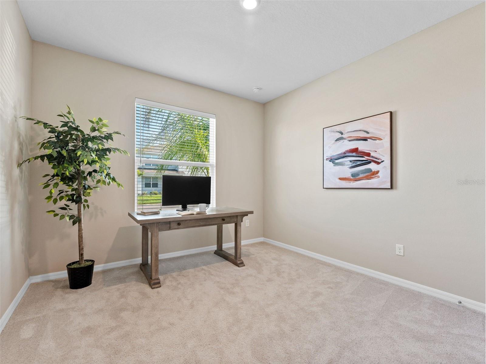 33700 Hamilton Hill Lane Wesley Chapel FL 33545 TB8492561 image18