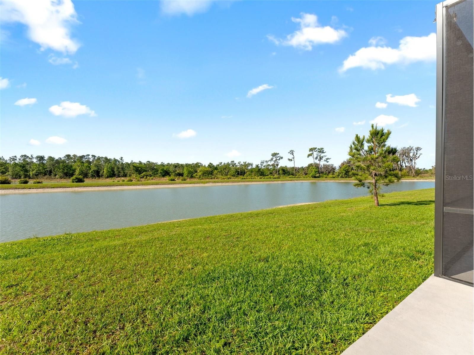 33700 Hamilton Hill Lane Wesley Chapel FL 33545 TB8492561 image25