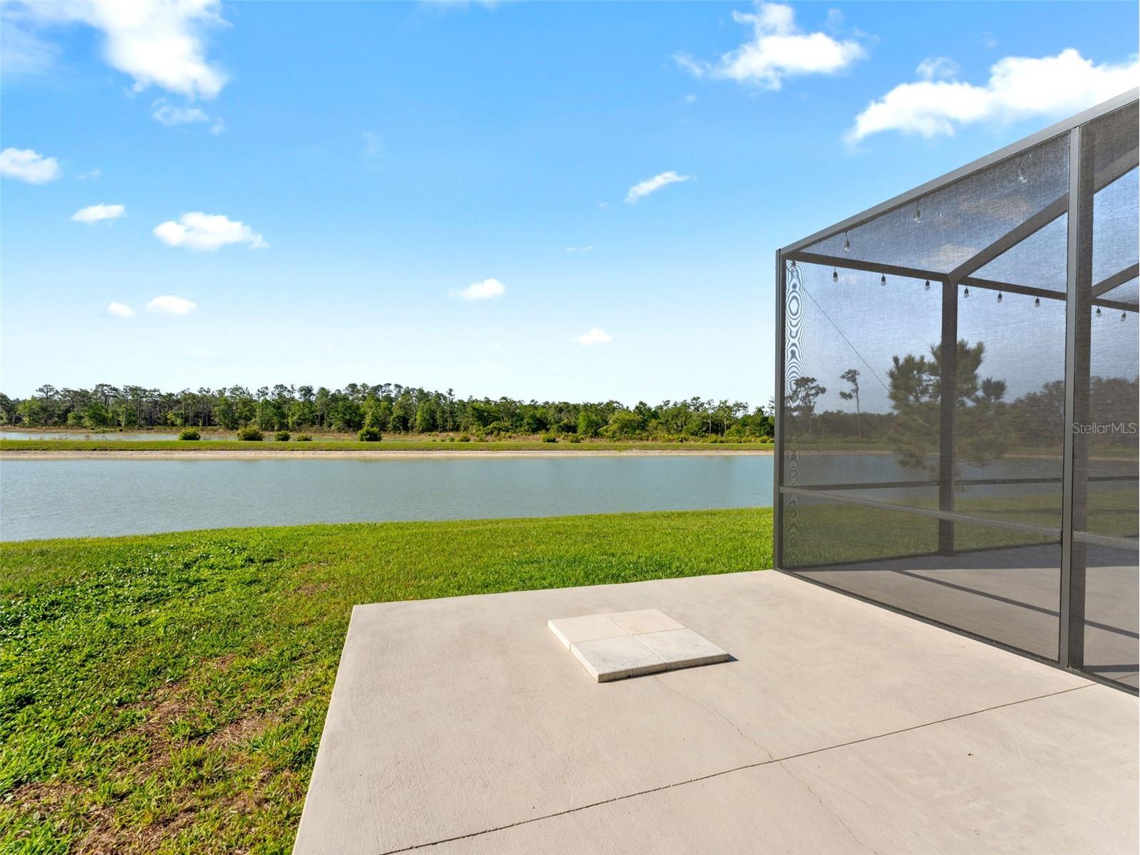 33700 Hamilton Hill Lane Wesley Chapel FL 33545 TB8492561 image26