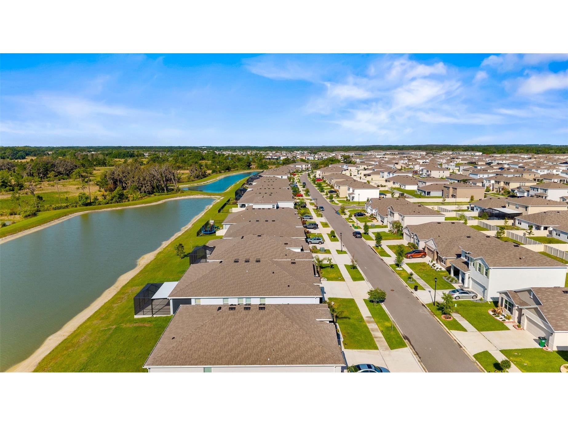 33700 Hamilton Hill Lane Wesley Chapel FL 33545 TB8492561 image27