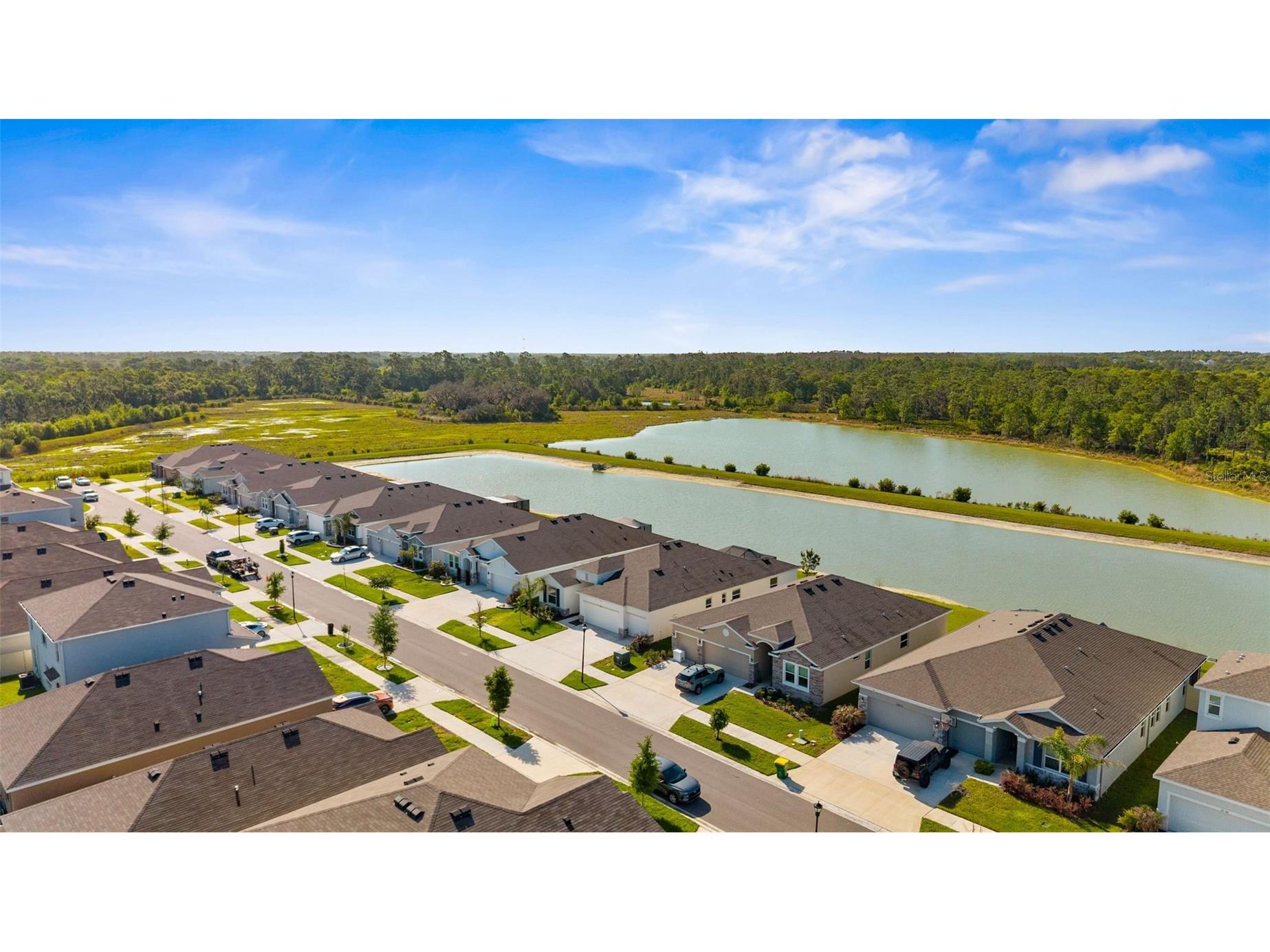 33700 Hamilton Hill Lane Wesley Chapel FL 33545 TB8492561 image28