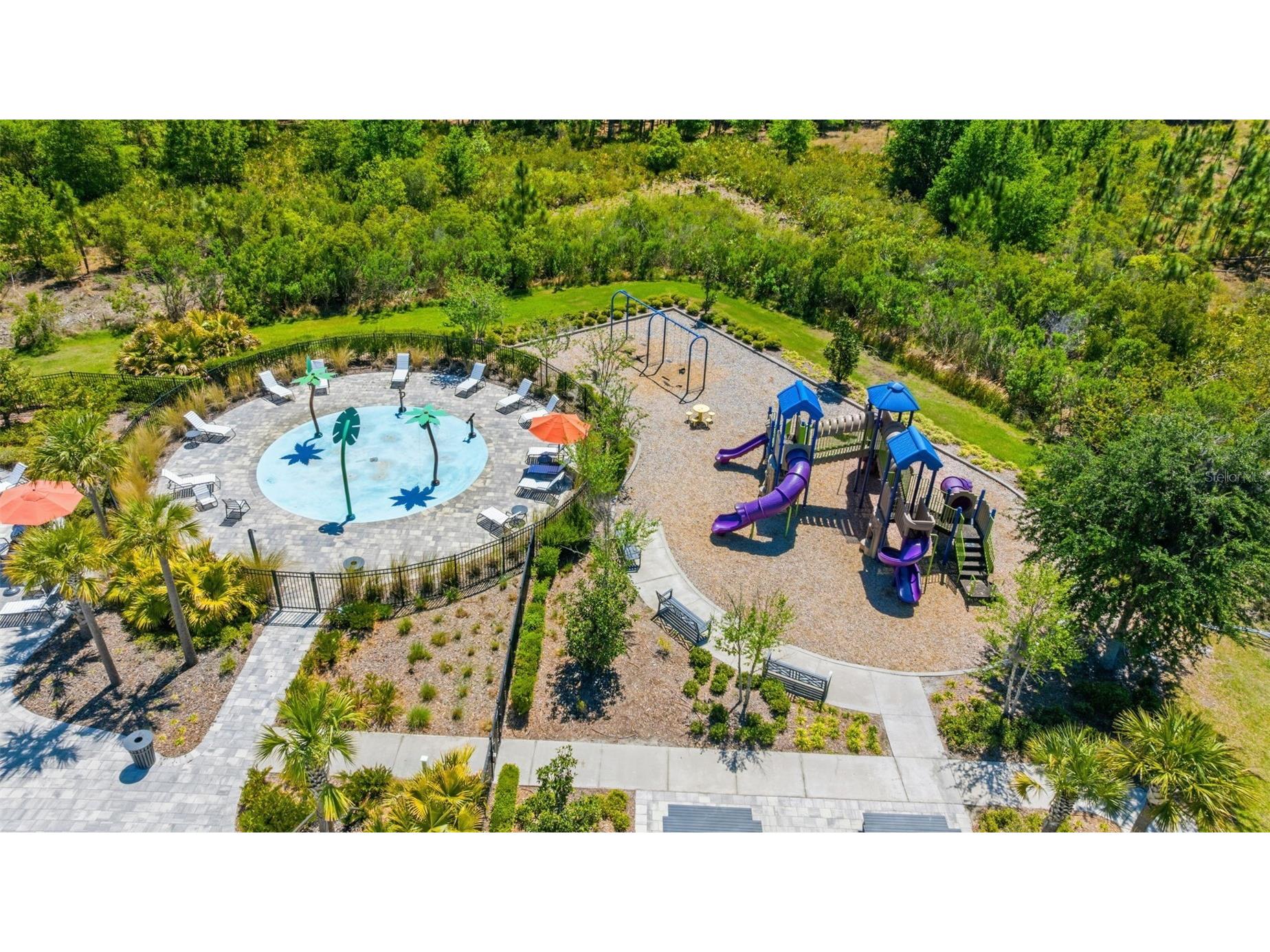 33700 Hamilton Hill Lane Wesley Chapel FL 33545 TB8492561 image31