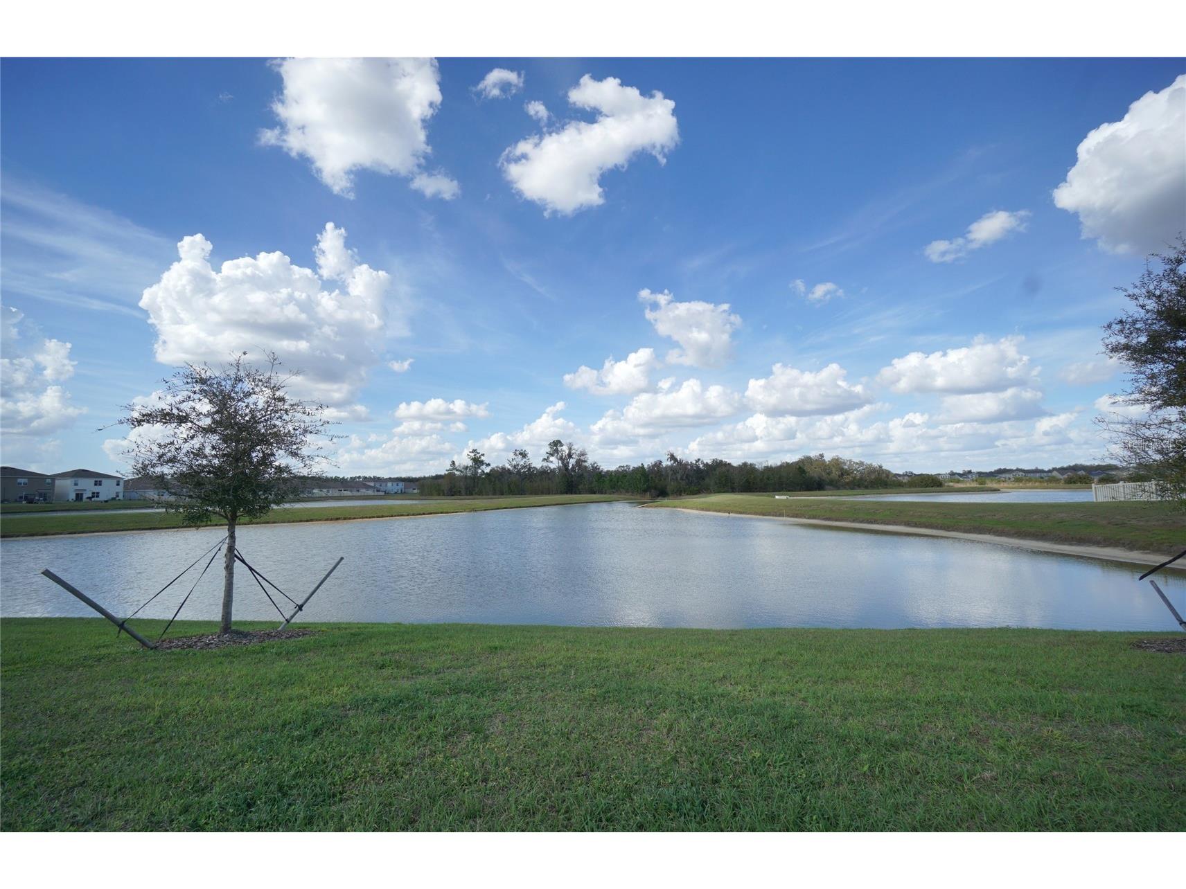 33700 Jasper Stone Drive Wesley Chapel FL 33543 TB8486607 image17