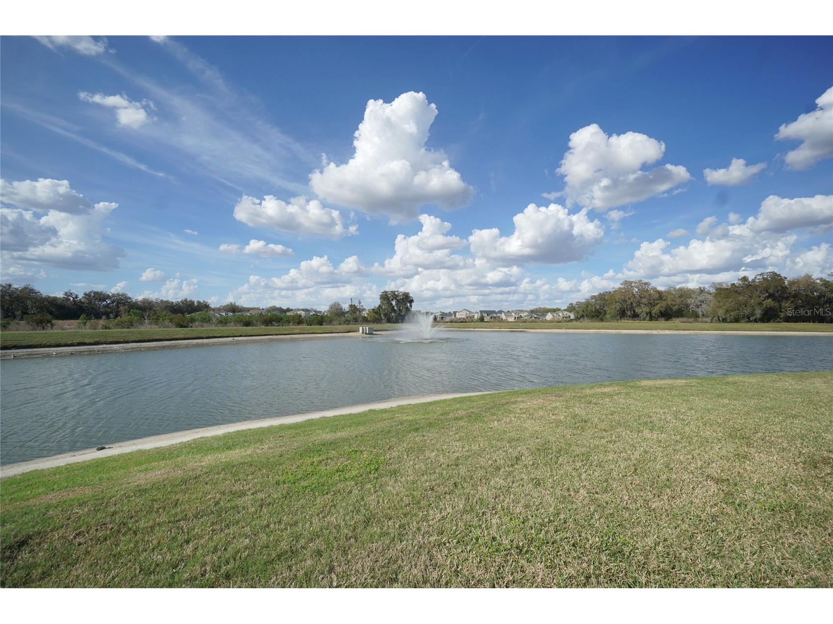 33700 Jasper Stone Drive Wesley Chapel FL 33543 TB8486607 image26