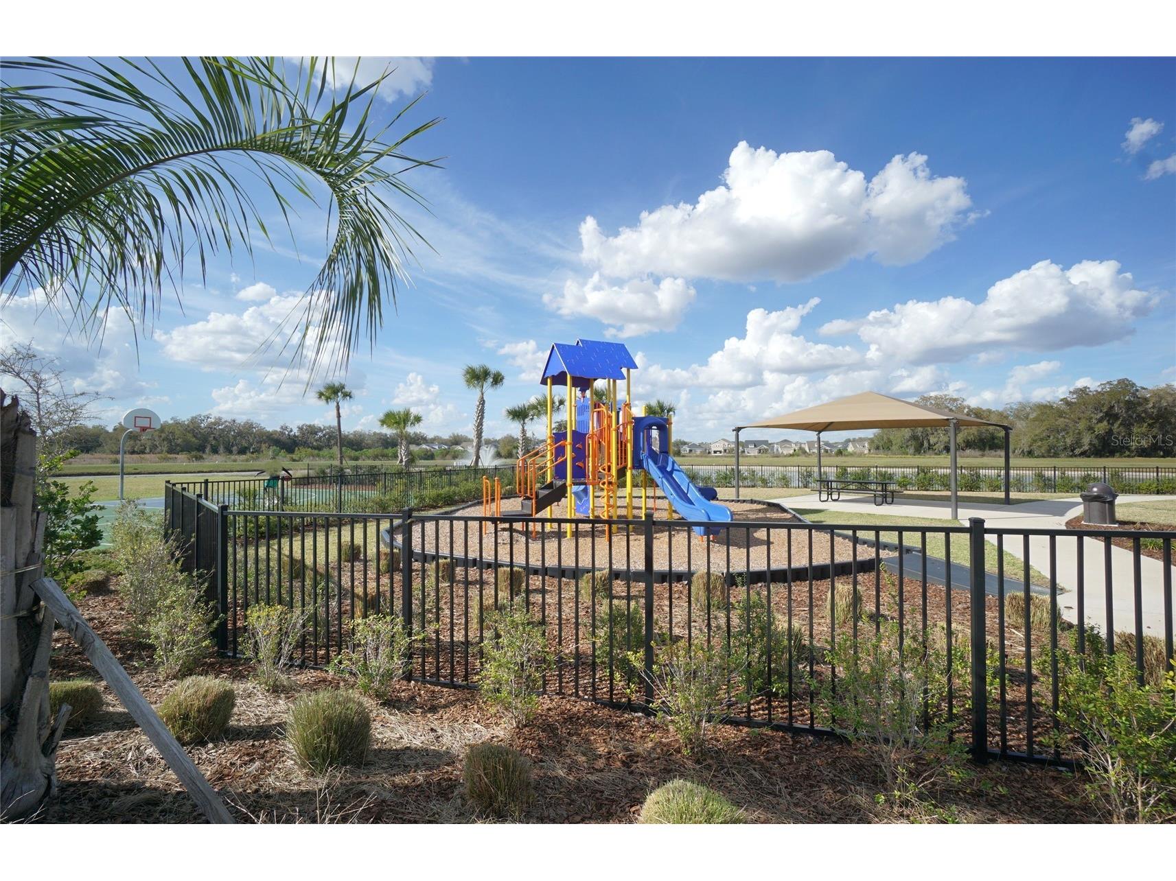 33700 Jasper Stone Drive Wesley Chapel FL 33543 TB8486607 image28
