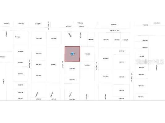 33702 Verda Avenue Leesburg FL 34788 O6346103 image10