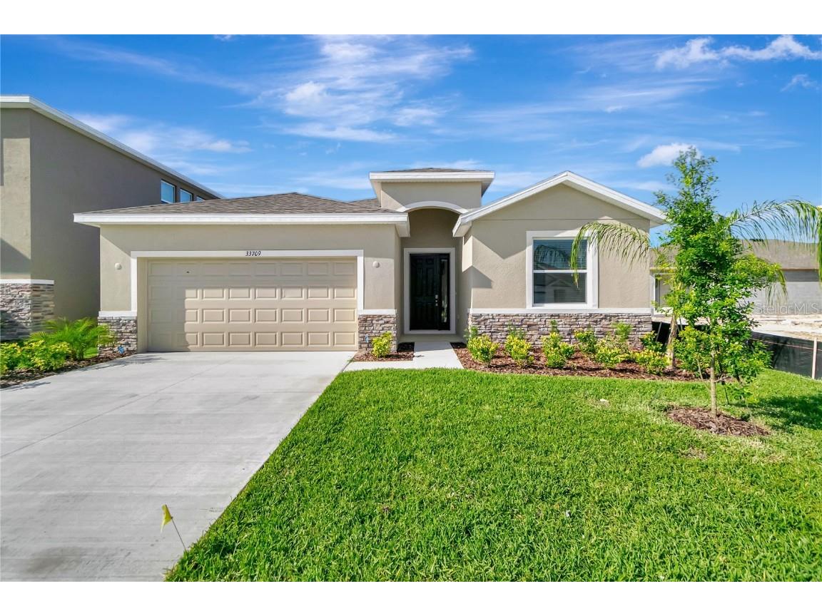 33709 Elm Hill Branch Wesley Chapel FL 33545 T3510210 image1