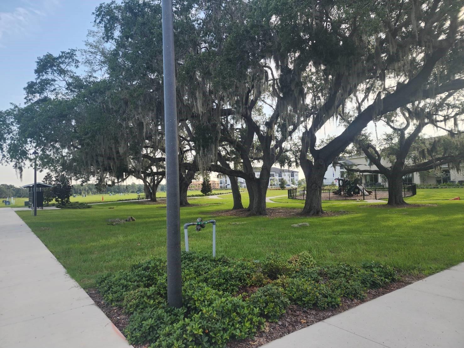 3371 Chroma Street Orlando FL 32824 O6422392 image21