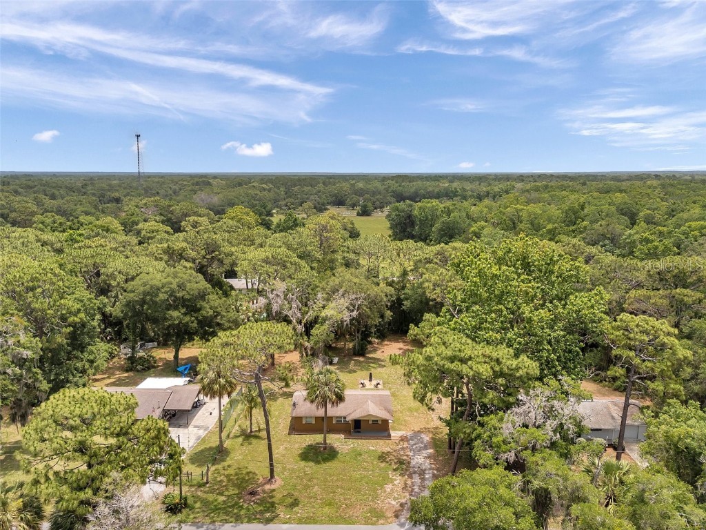 3371 N Bay Avenue Crystal River FL 34428 TB8395695 image29