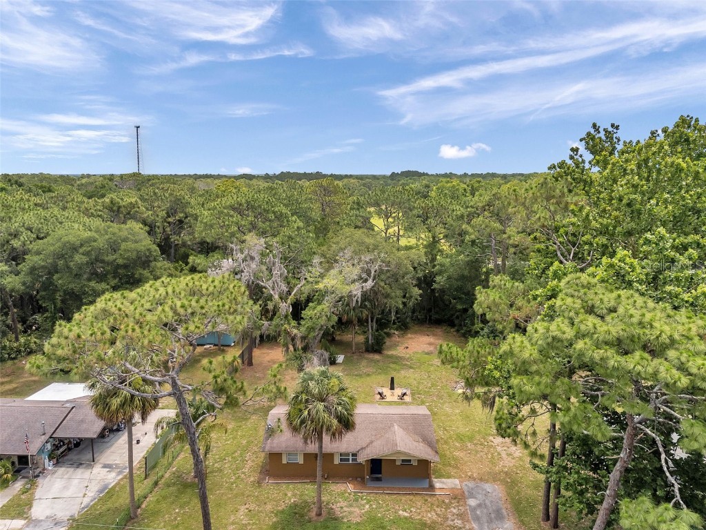 3371 N Bay Avenue Crystal River FL 34428 TB8395695 image30