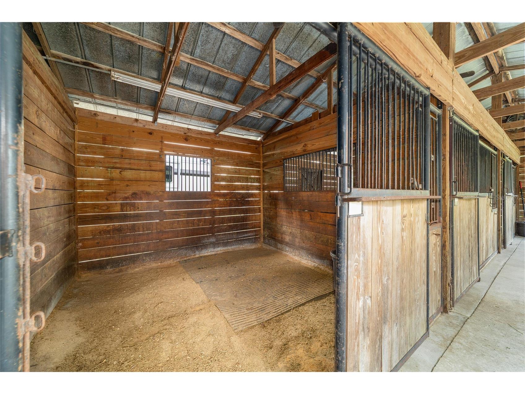 3371 NW 120th Avenue Ocala FL 34482 OM725567 image13