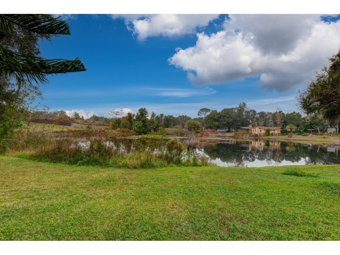 33719 Overton Drive Leesburg FL 34788 G5105439 image29