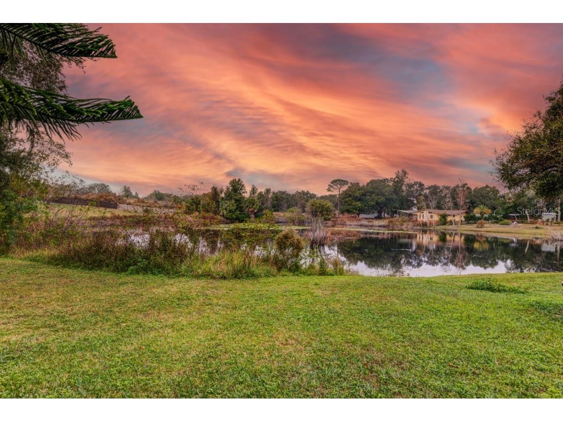 33719 Overton Drive Leesburg FL 34788 G5105439 image3