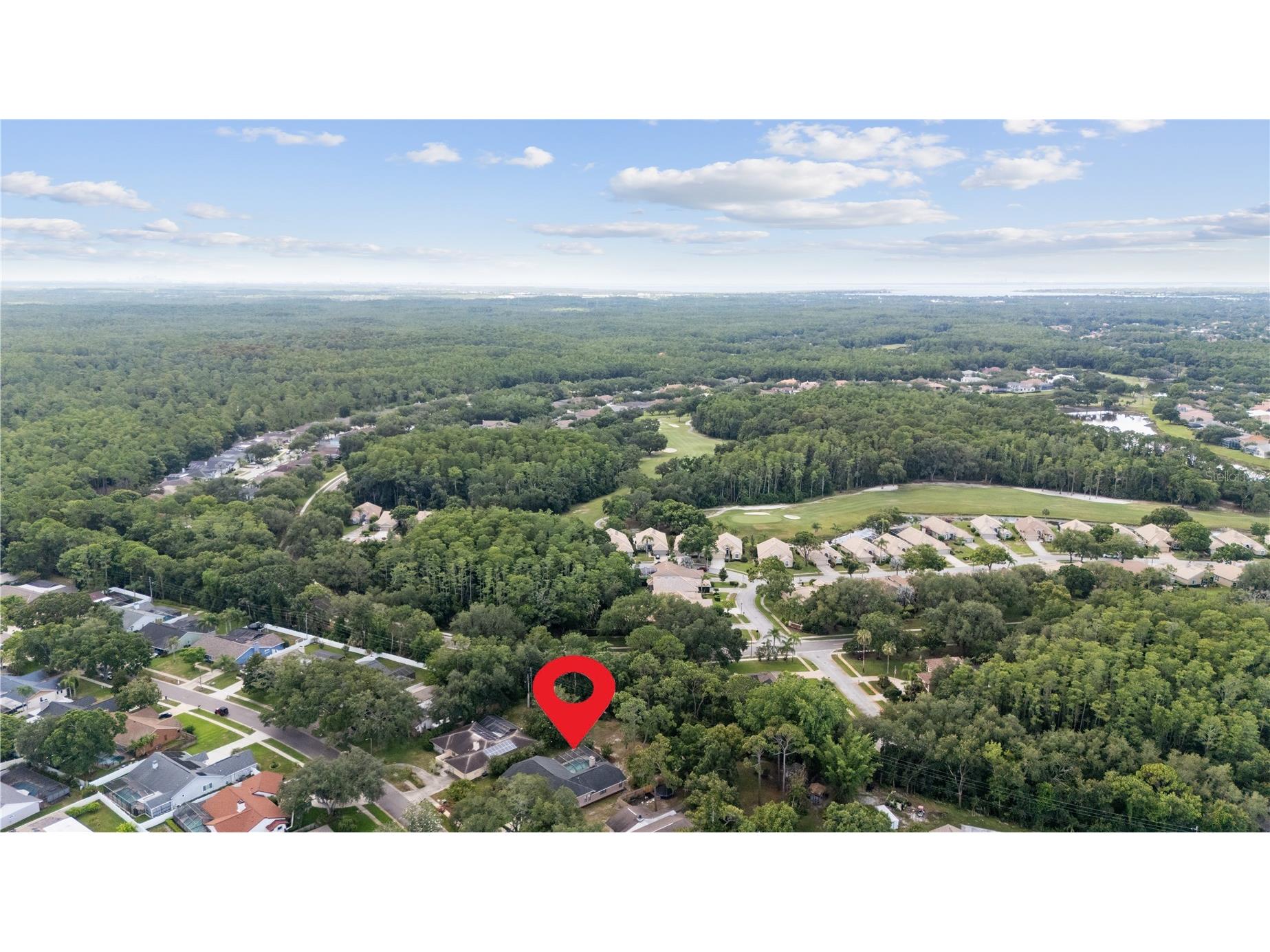 3372 Brian Road S Palm Harbor FL 34685 TB8518128 image42