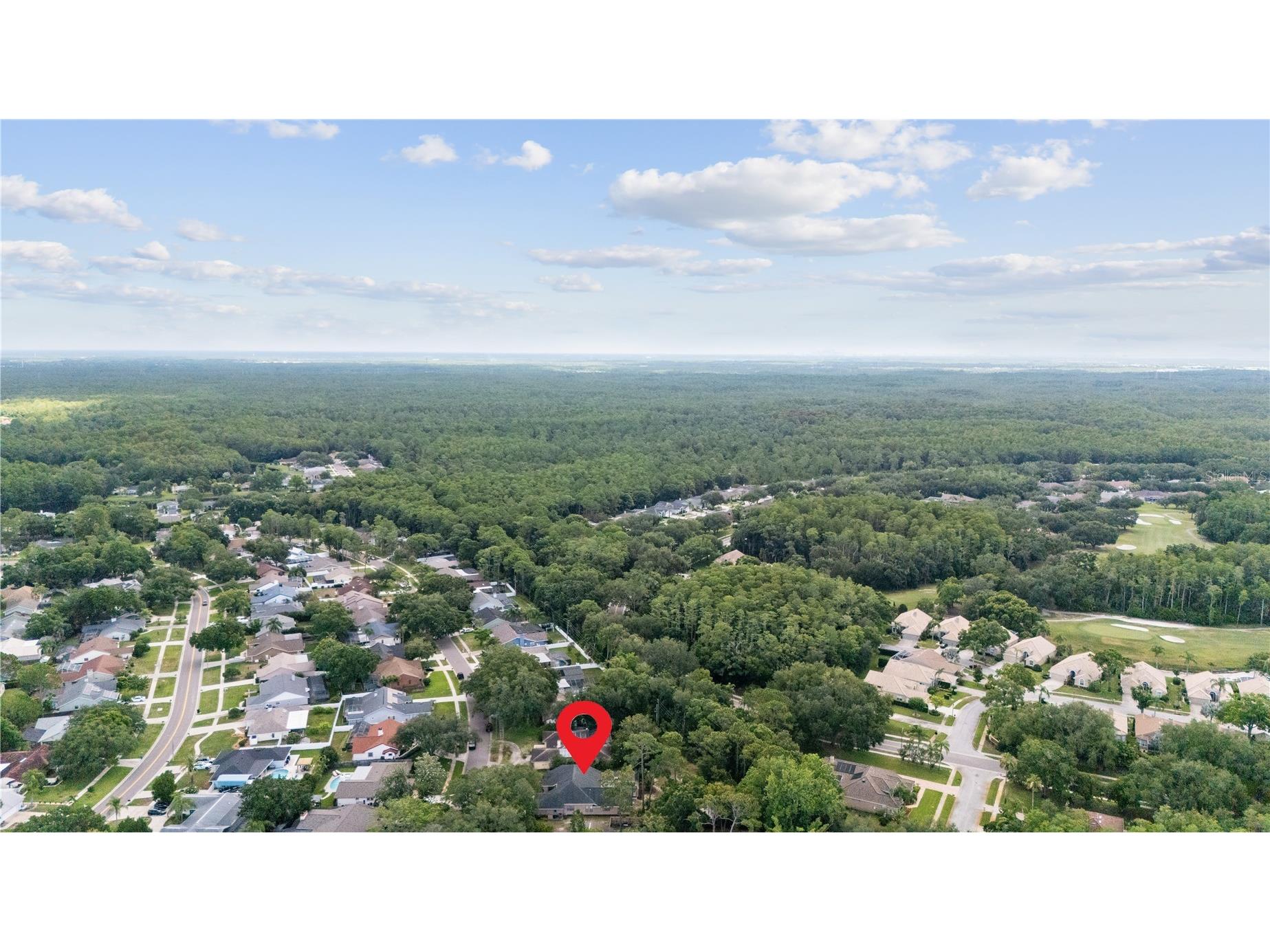3372 Brian Road S Palm Harbor FL 34685 TB8518128 image43
