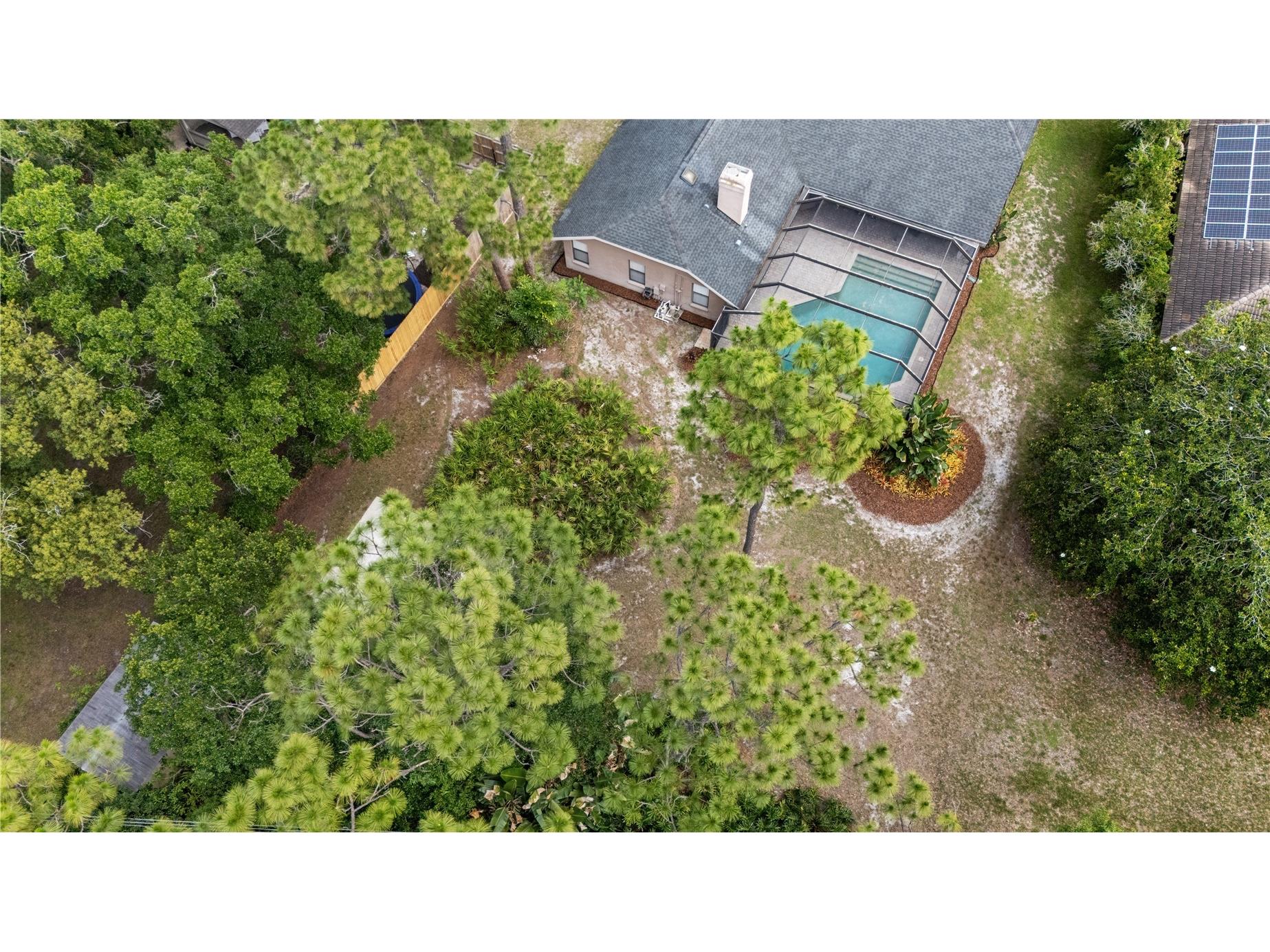 3372 Brian Road S Palm Harbor FL 34685 TB8518128 image44