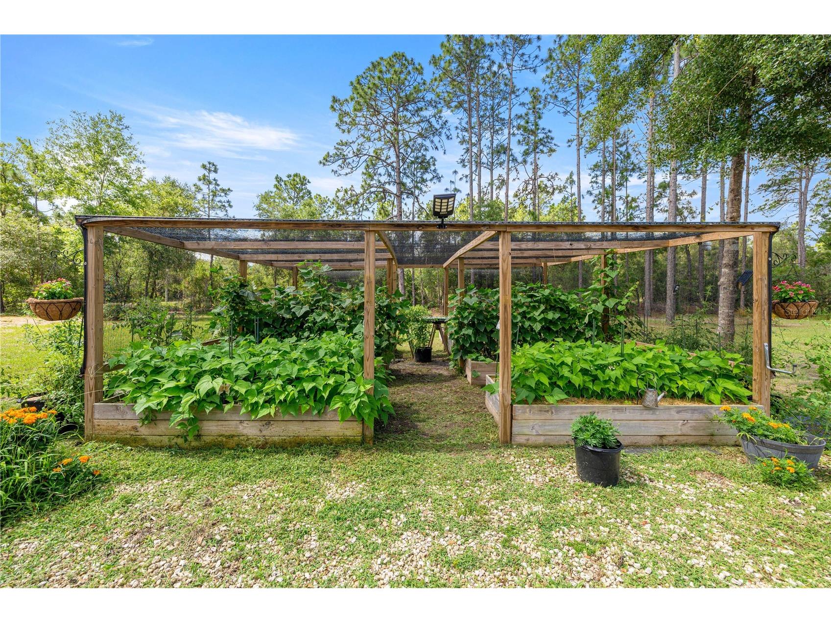 3372 W Webster Place Citrus Springs FL 34433 OM725549 image22