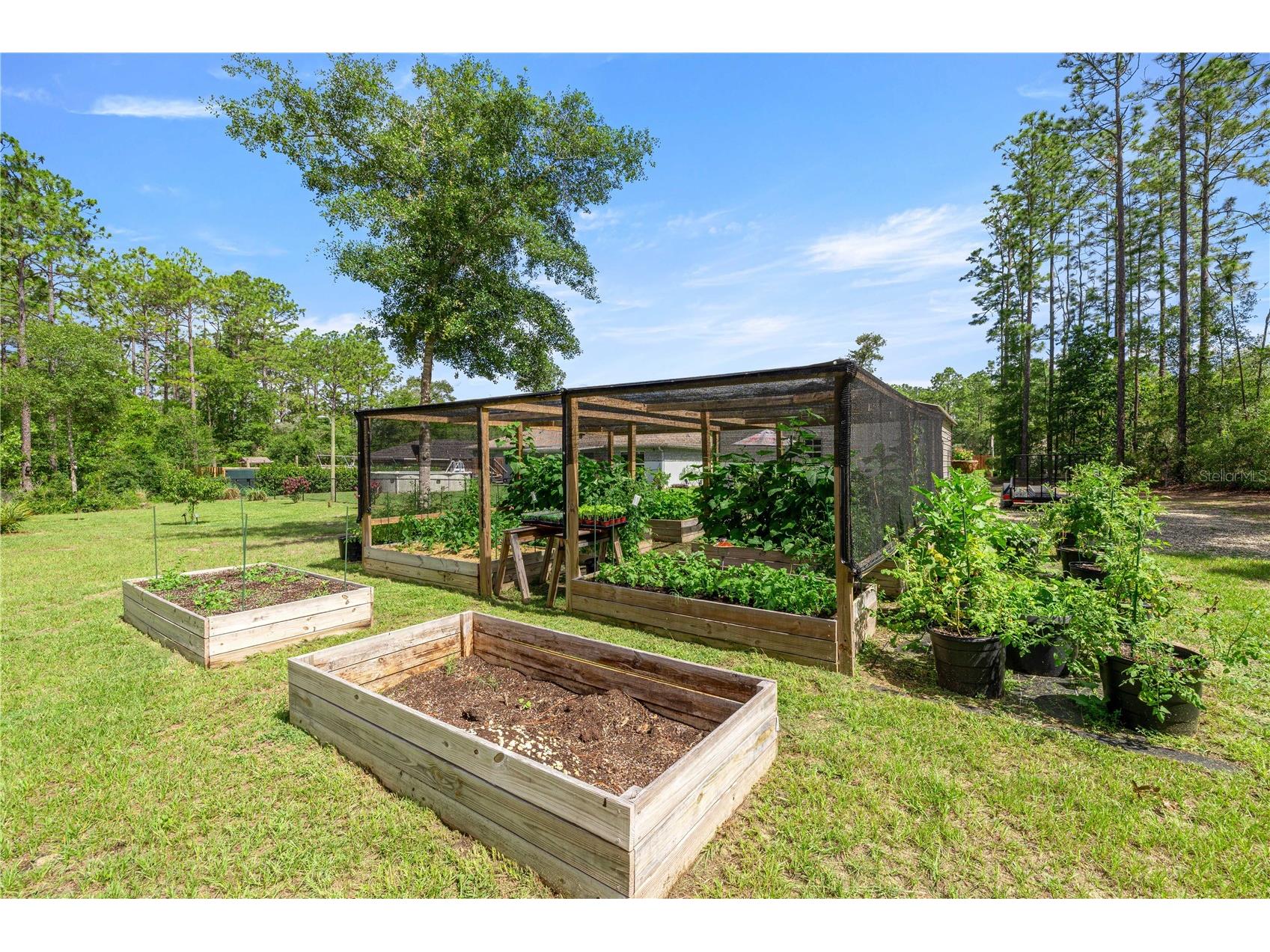 3372 W Webster Place Citrus Springs FL 34433 OM725549 image23
