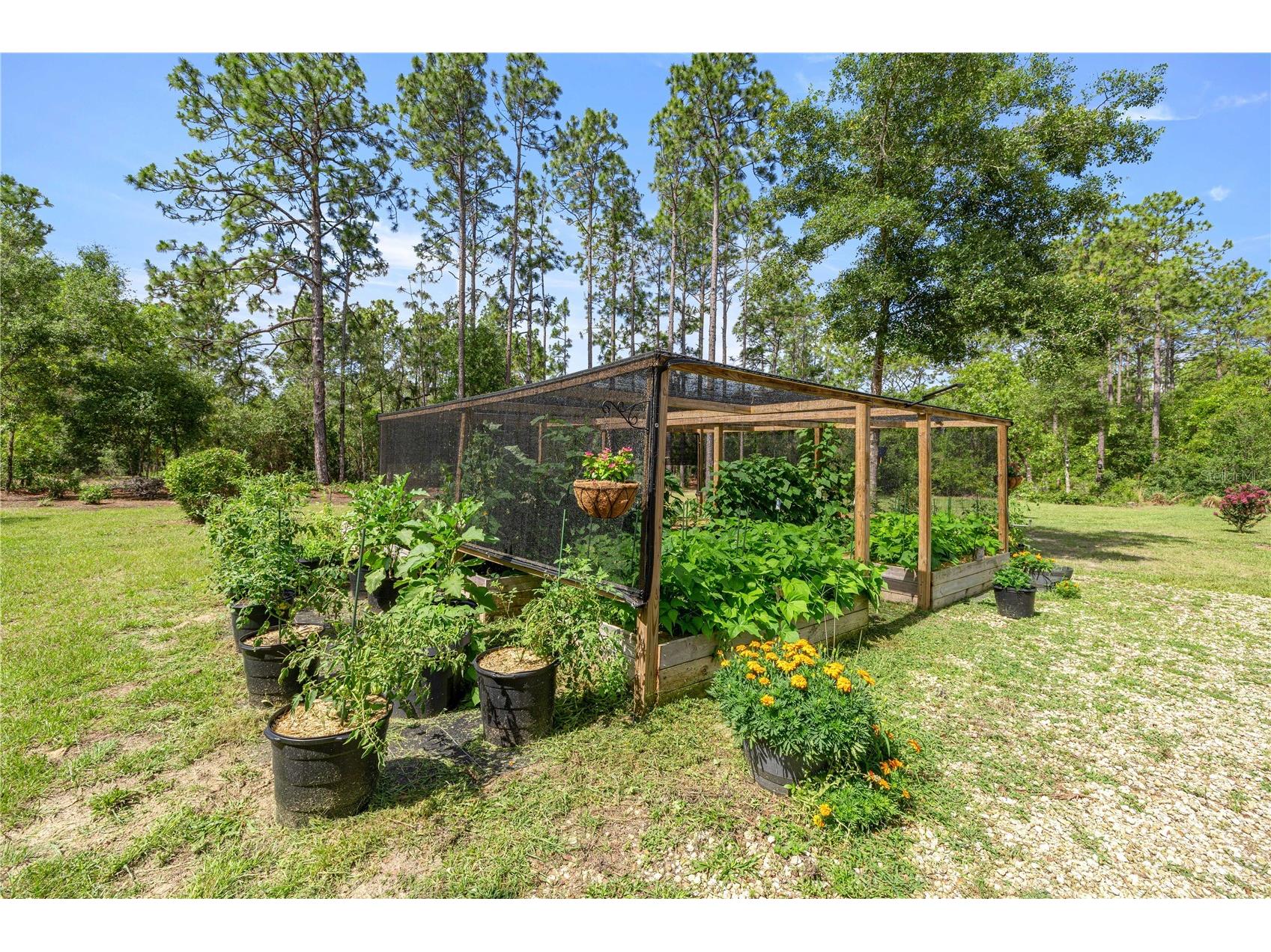 3372 W Webster Place Citrus Springs FL 34433 OM725549 image24