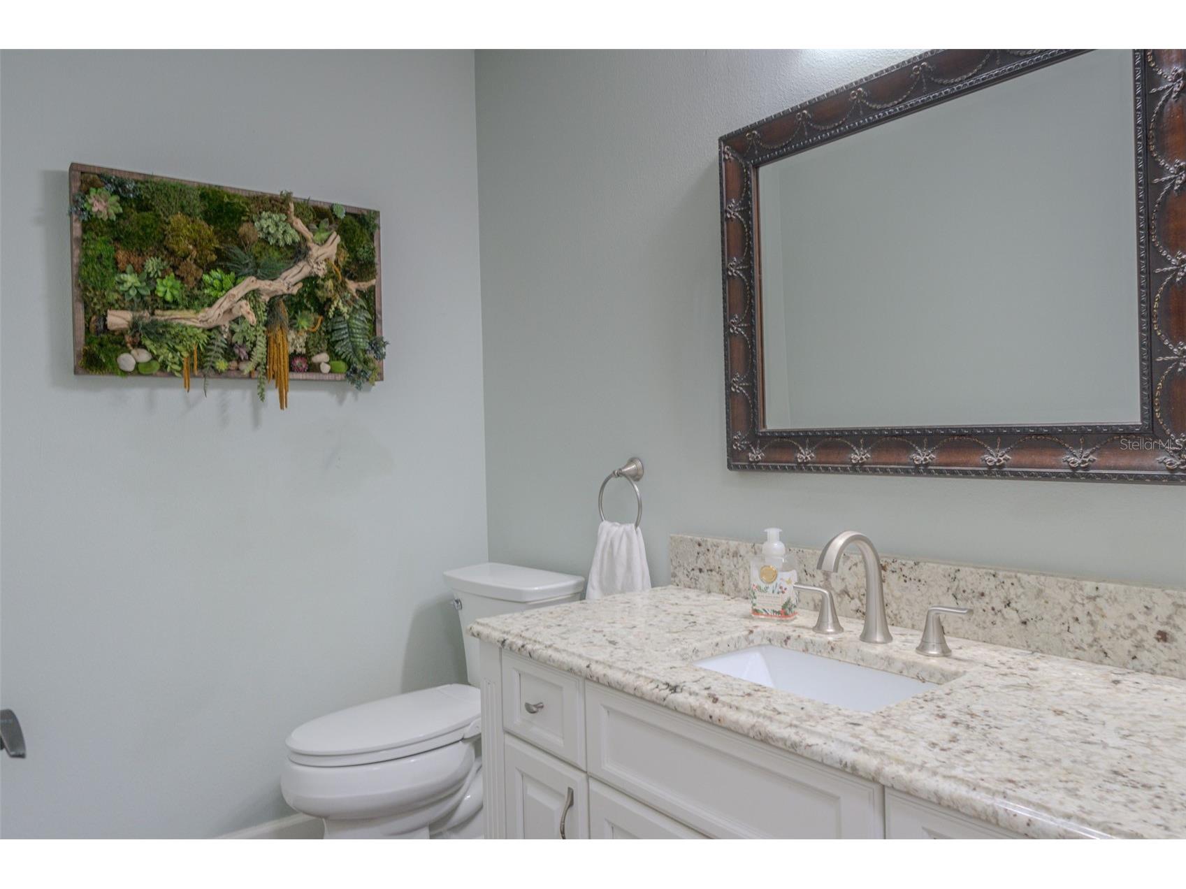 33721 Spring Drive Leesburg FL 34788 O6422776 image33
