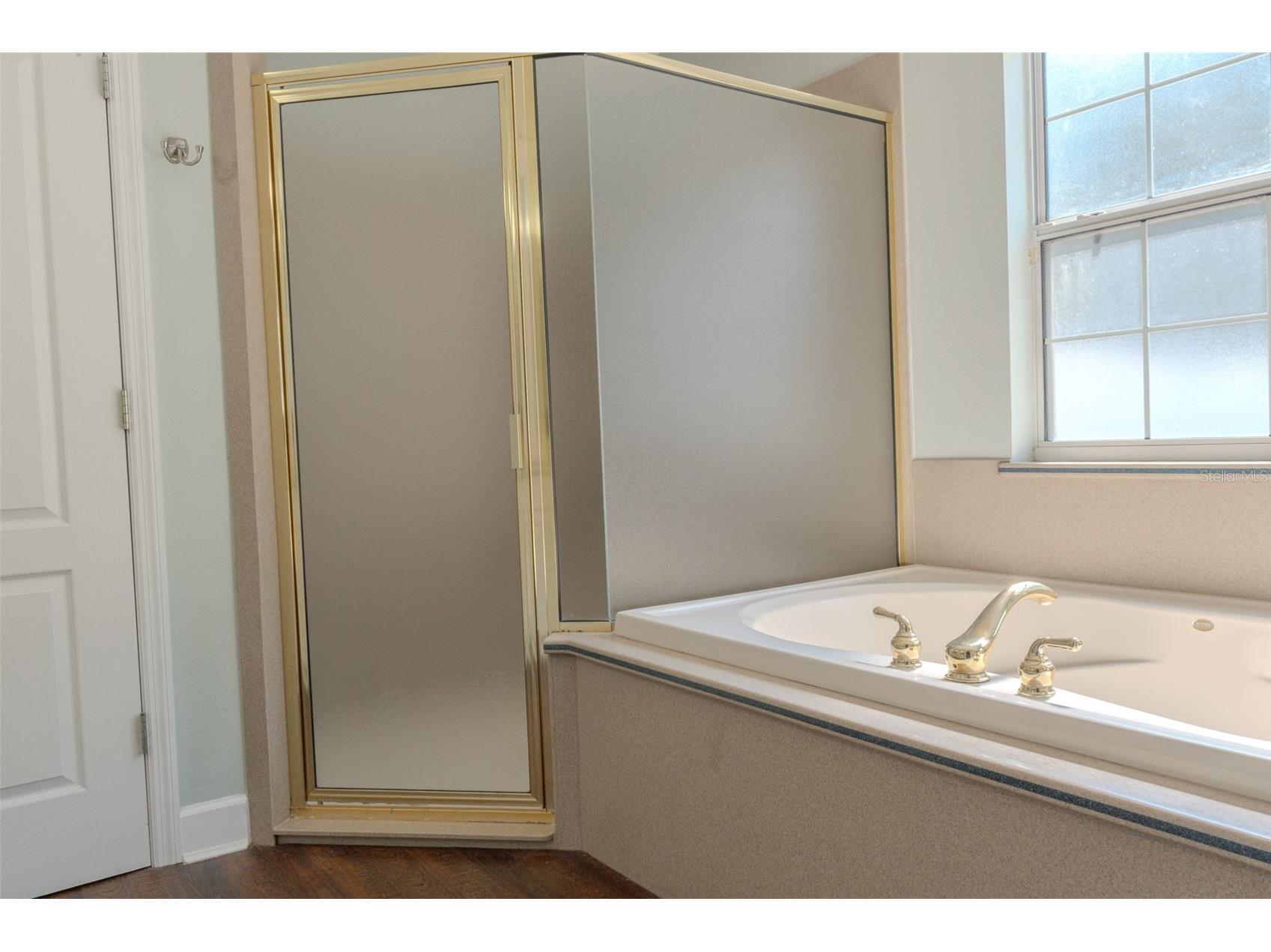 33721 Spring Drive Leesburg FL 34788 O6422776 image38
