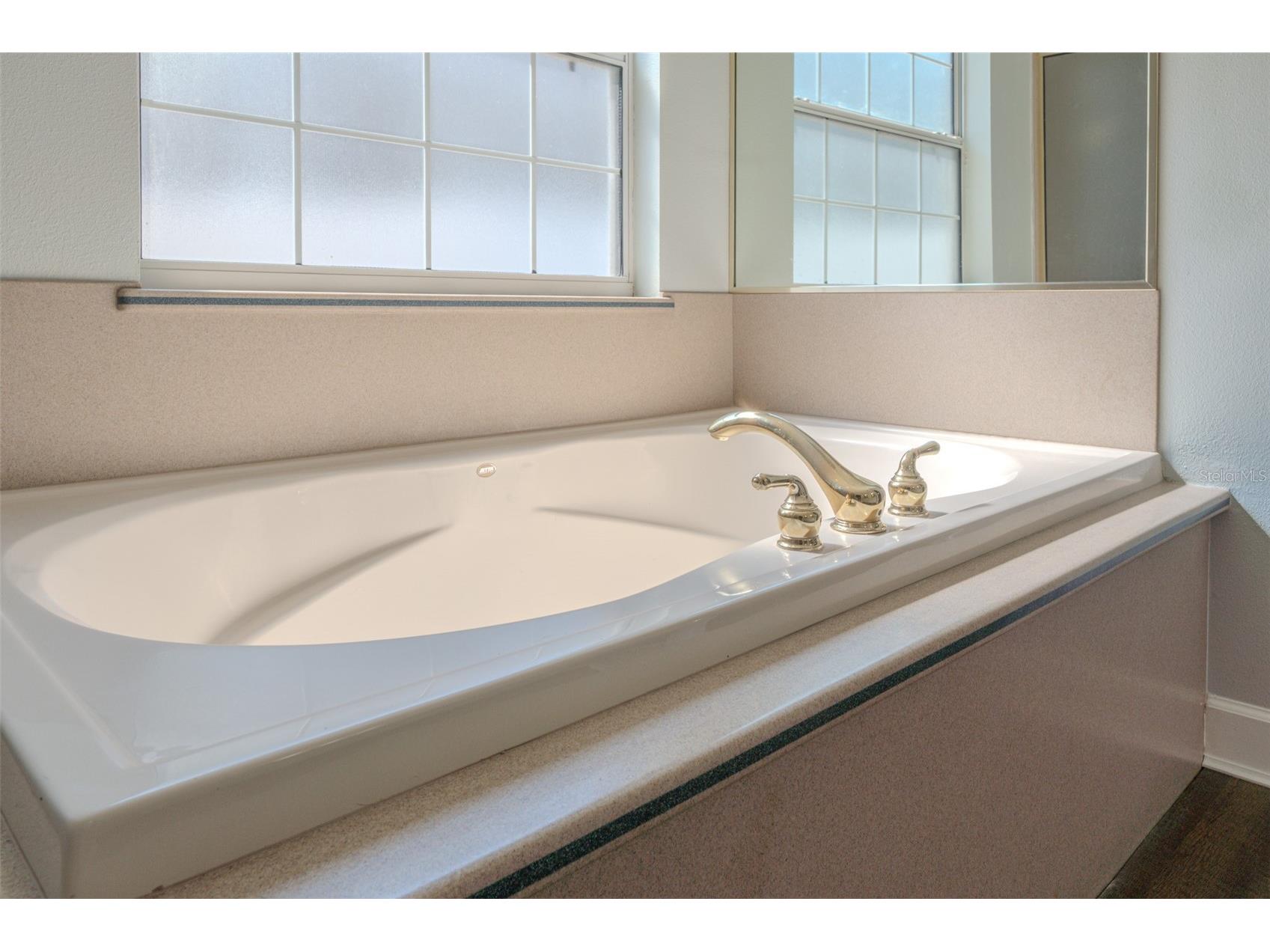 33721 Spring Drive Leesburg FL 34788 O6422776 image41