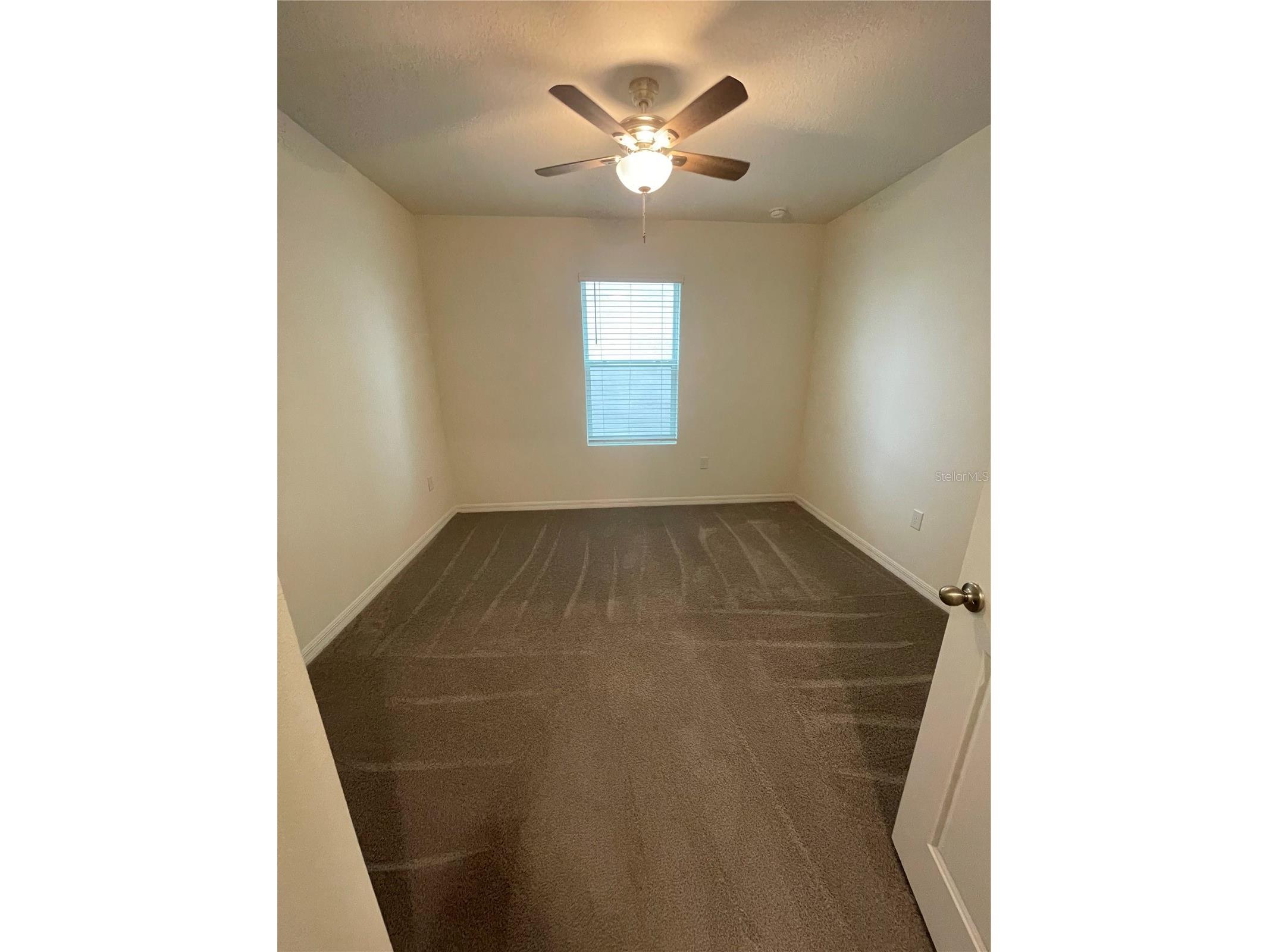 33724 Jasmine Star Loop Wesley Chapel FL 33543 TB8502844 image16