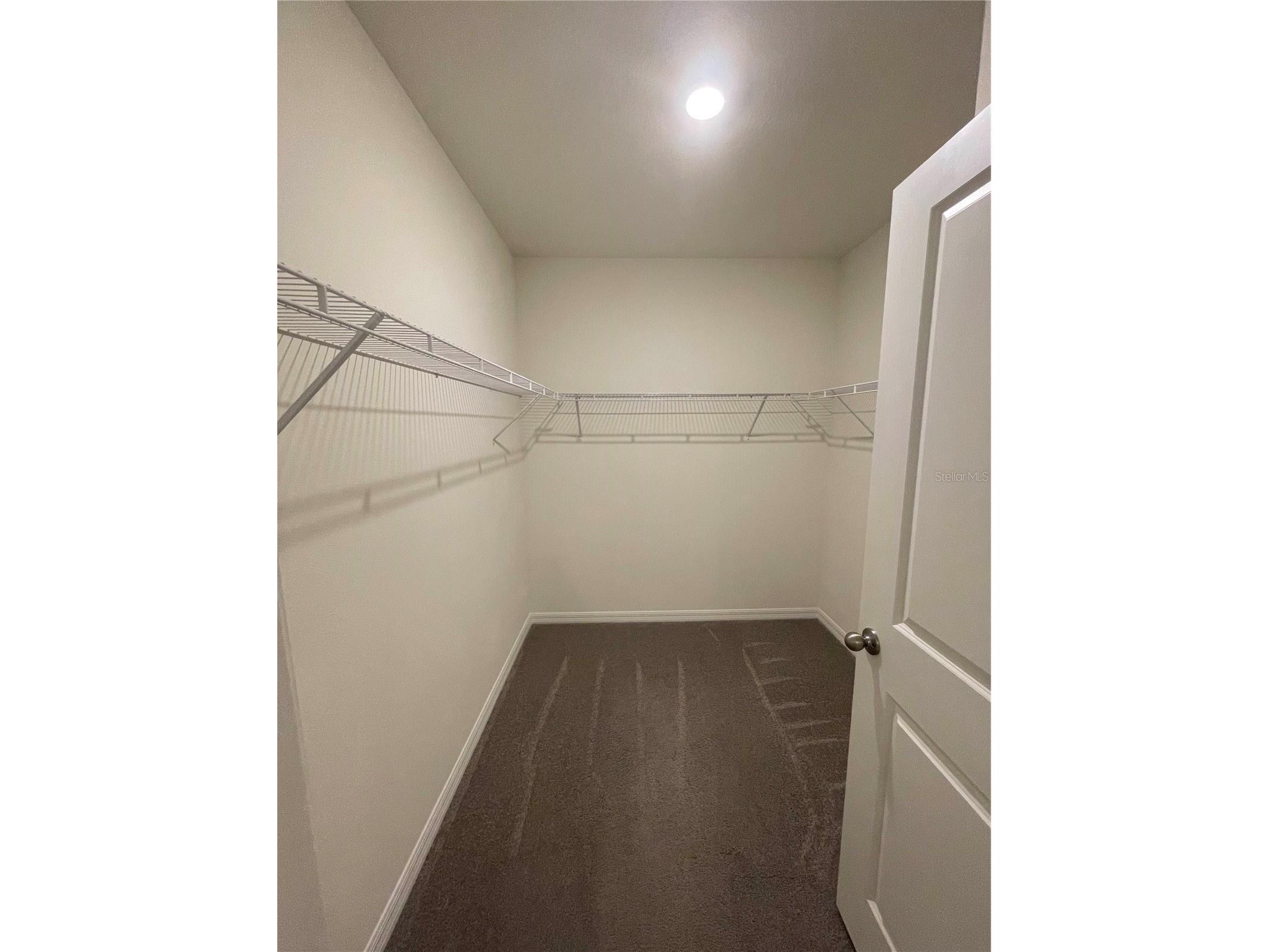 33724 Jasmine Star Loop Wesley Chapel FL 33543 TB8502844 image21