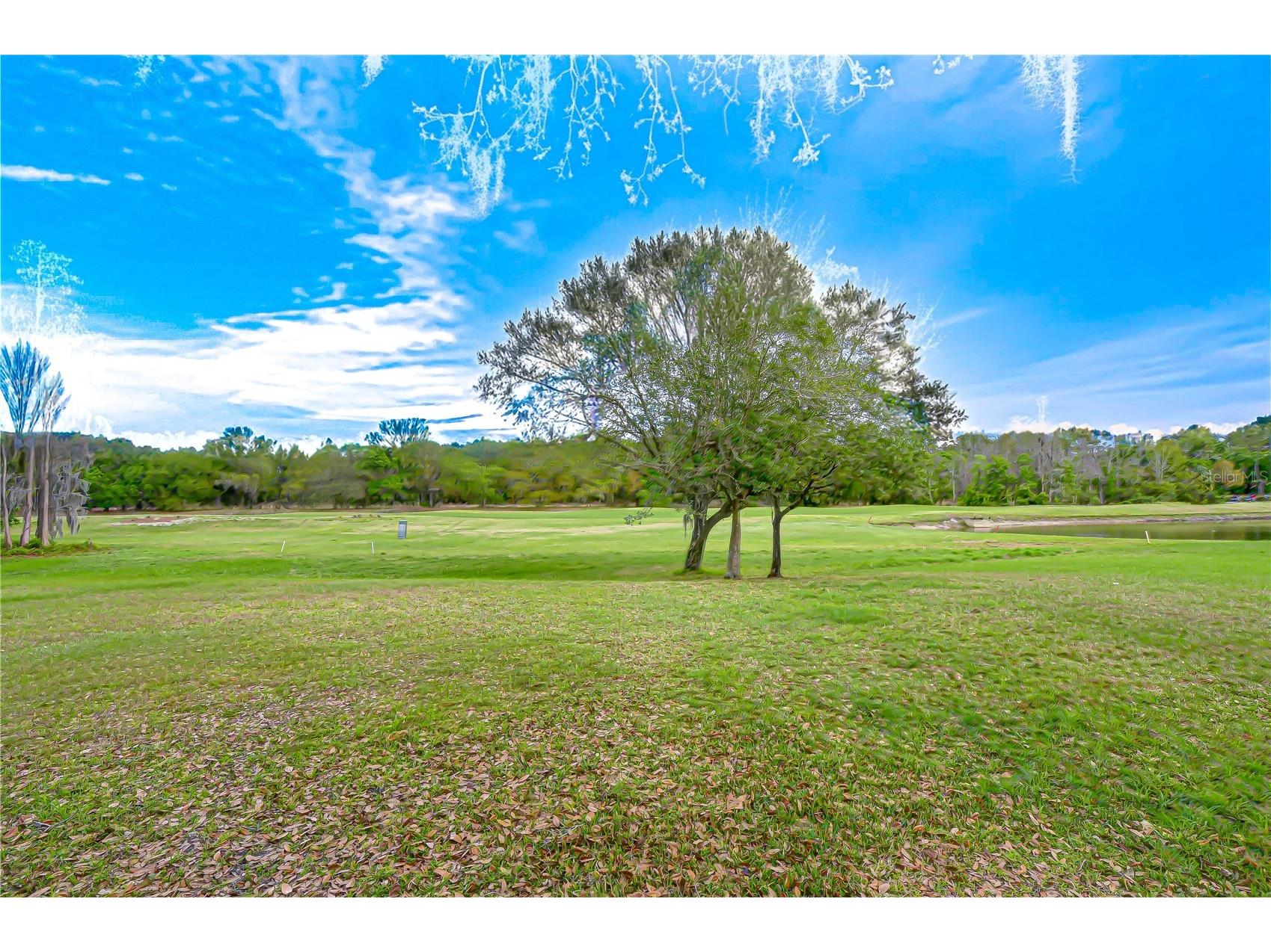 3373 Crescent Oaks Boulevard Tarpon Springs FL 34688 TB8484681 image25