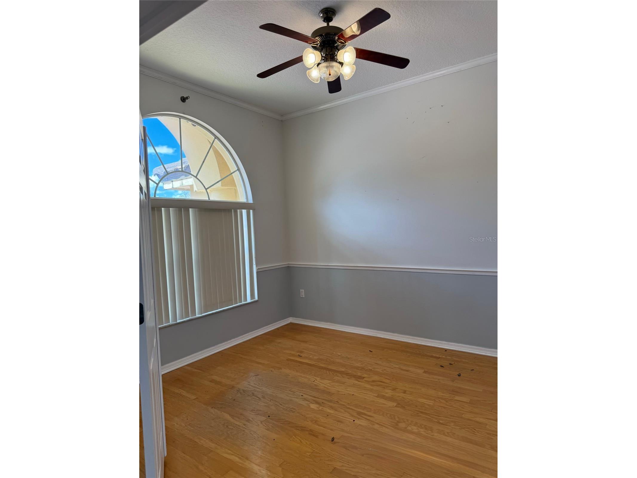 3373 Crescent Oaks Boulevard Tarpon Springs FL 34688 TB8484681 image5