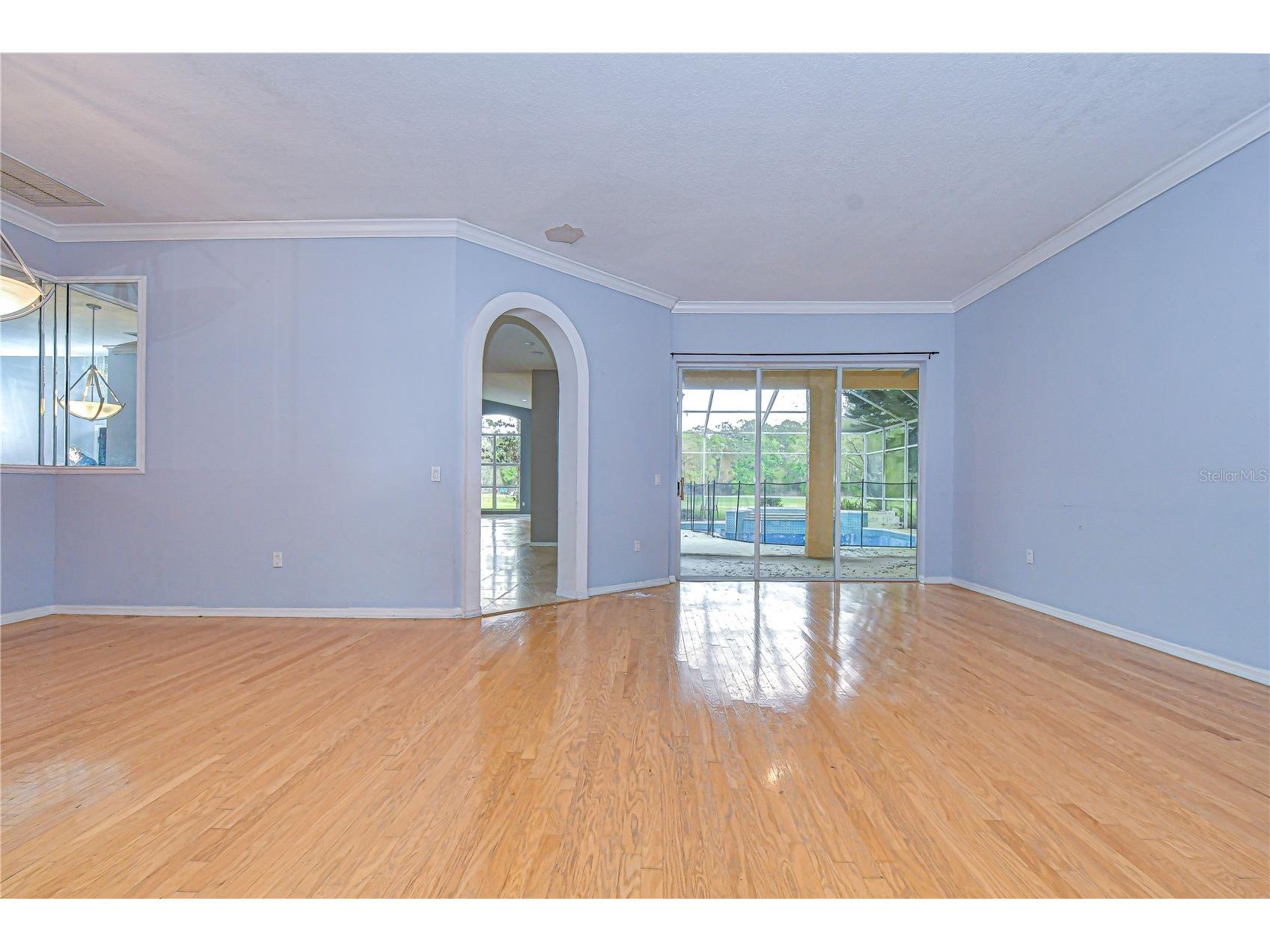 3373 Crescent Oaks Boulevard Tarpon Springs FL 34688 TB8484681 image6