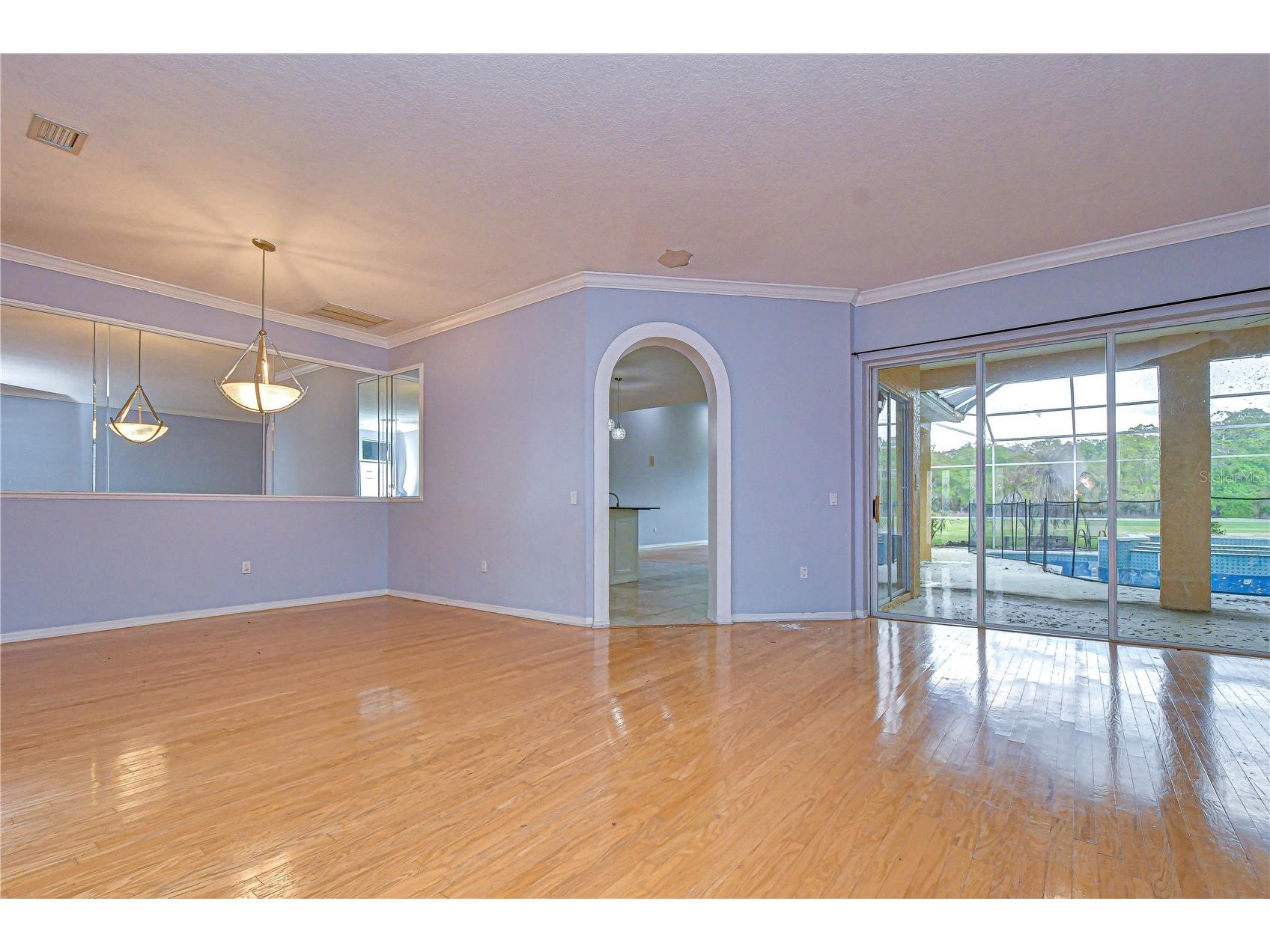 3373 Crescent Oaks Boulevard Tarpon Springs FL 34688 TB8484681 image7