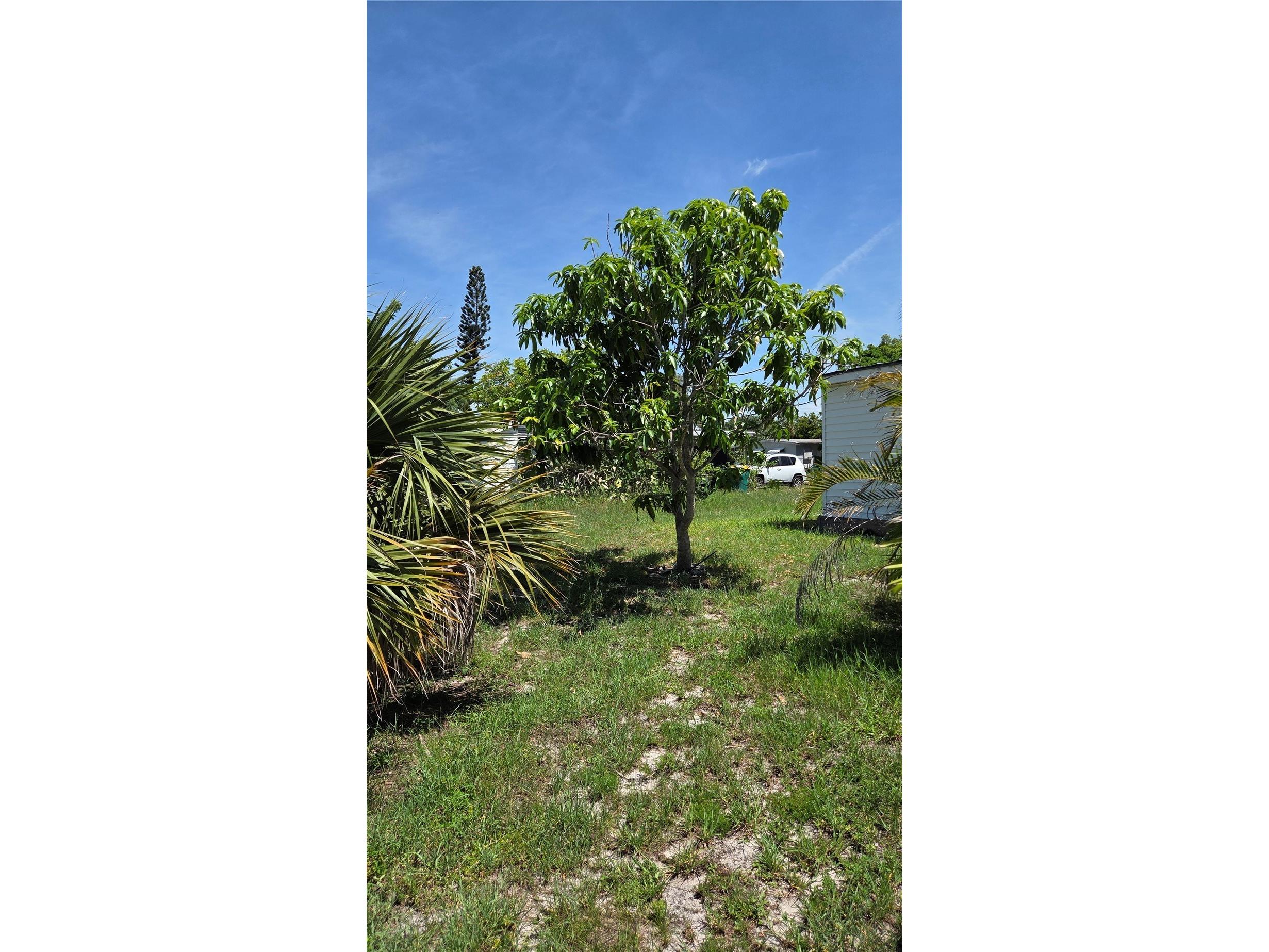 3373 Lucerne Terrace Port Charlotte FL 33952 C7527078 image27