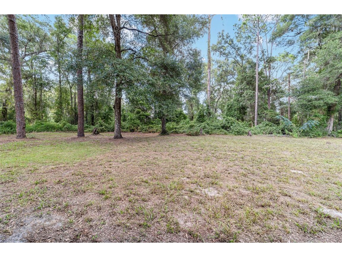 3373 SE 148th Place Summerfield FL 34491 OM710194 image40