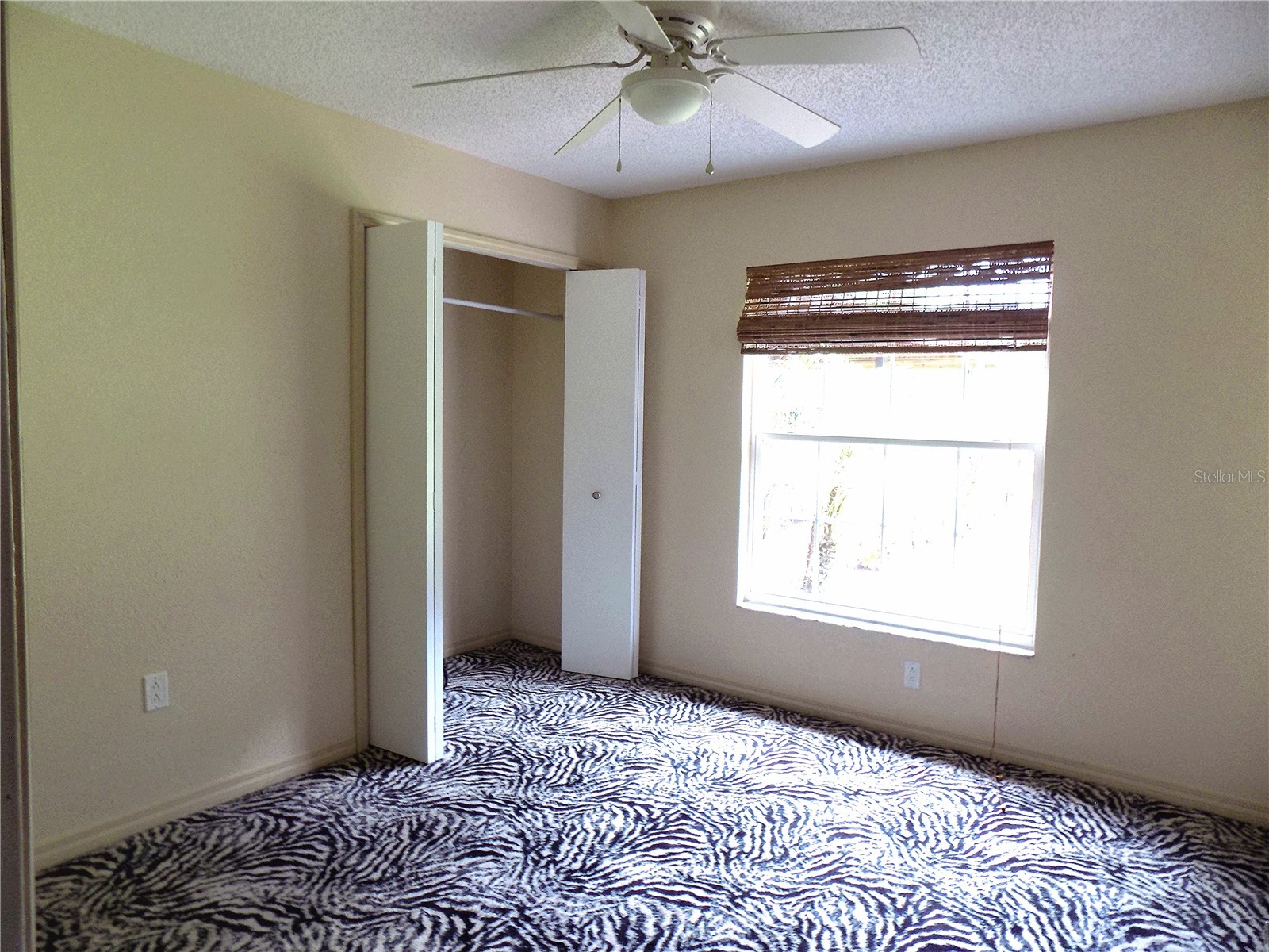 3374 Cooper Road Plant City FL 33565 TB8514233 image20