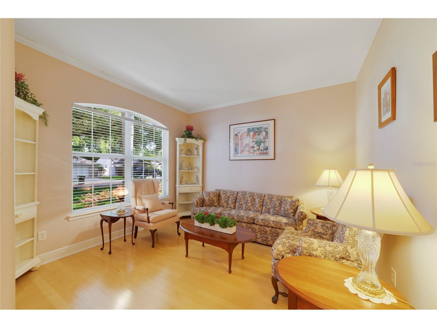 3374 Furlong Way Gotha FL 34734 S5148978 image5