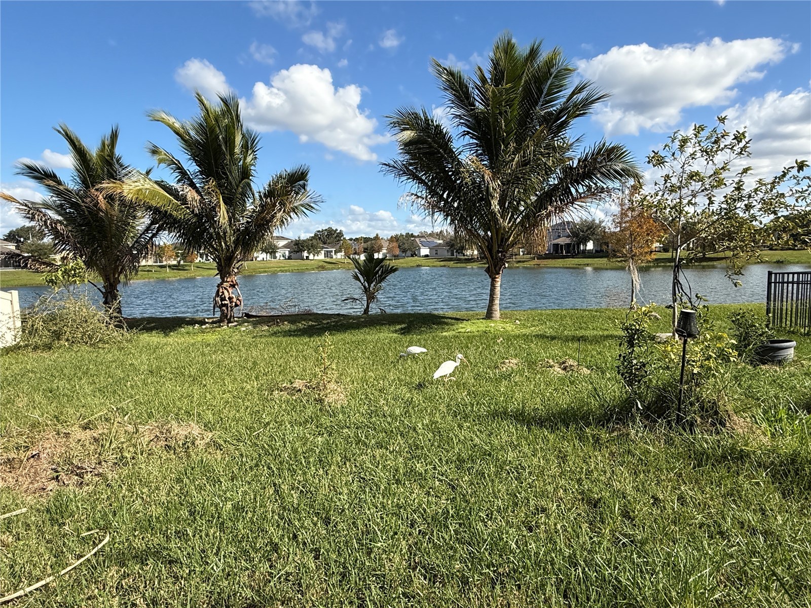 3374 Reedy Glen Drive Kissimmee FL 34758 - COMMUNITY POND S5140596 image17