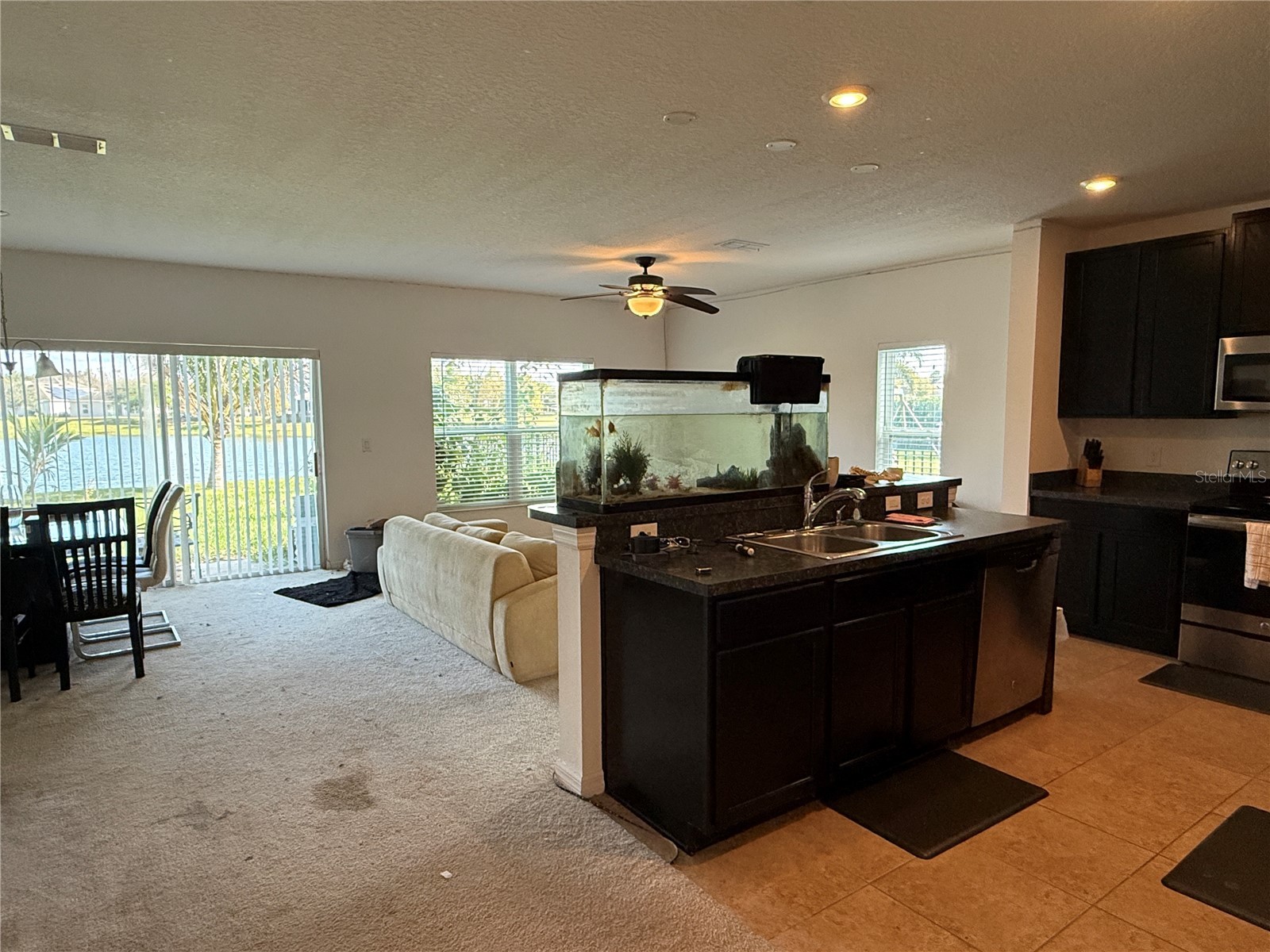 3374 Reedy Glen Drive Kissimmee FL 34758 - COMMUNITY POND S5140596 image7