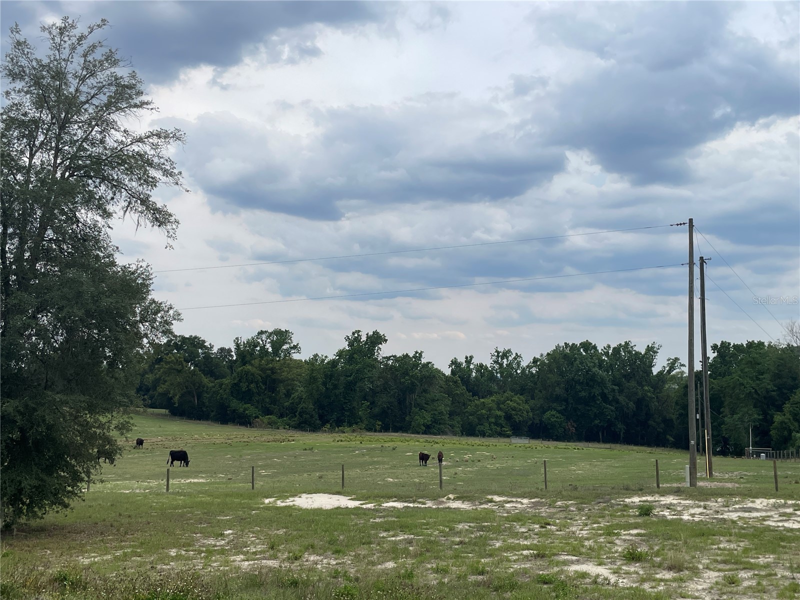 33740 Larkin Rd Dade City FL 33523 TB8502890 image25