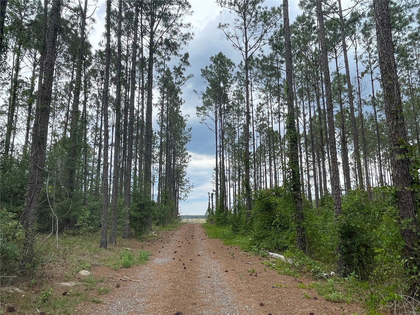 33740 Larkin Rd Dade City FL 33523 TB8502890 image29