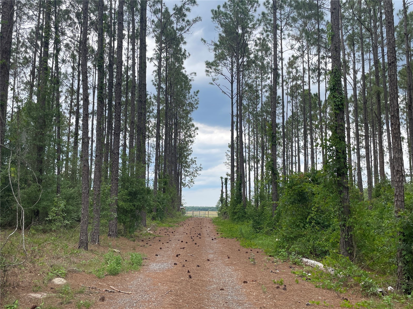 33740 Larkin Rd Dade City FL 33523 TB8502890 image30