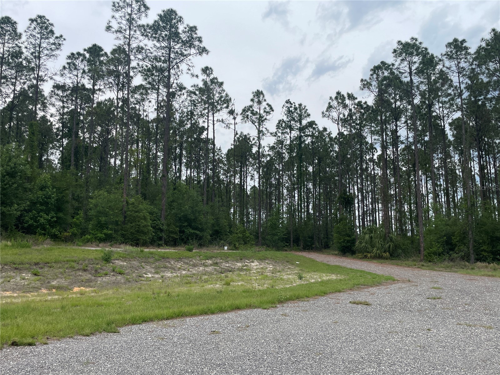 33740 Larkin Rd Dade City FL 33523 TB8502890 image31