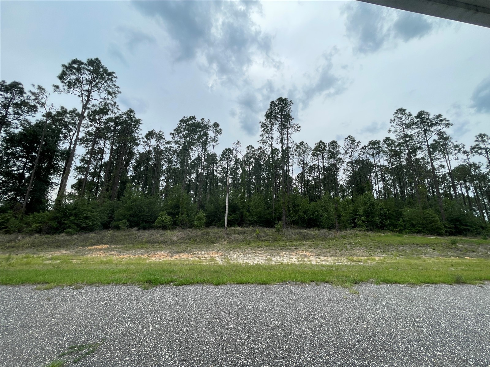 33740 Larkin Rd Dade City FL 33523 TB8502890 image32