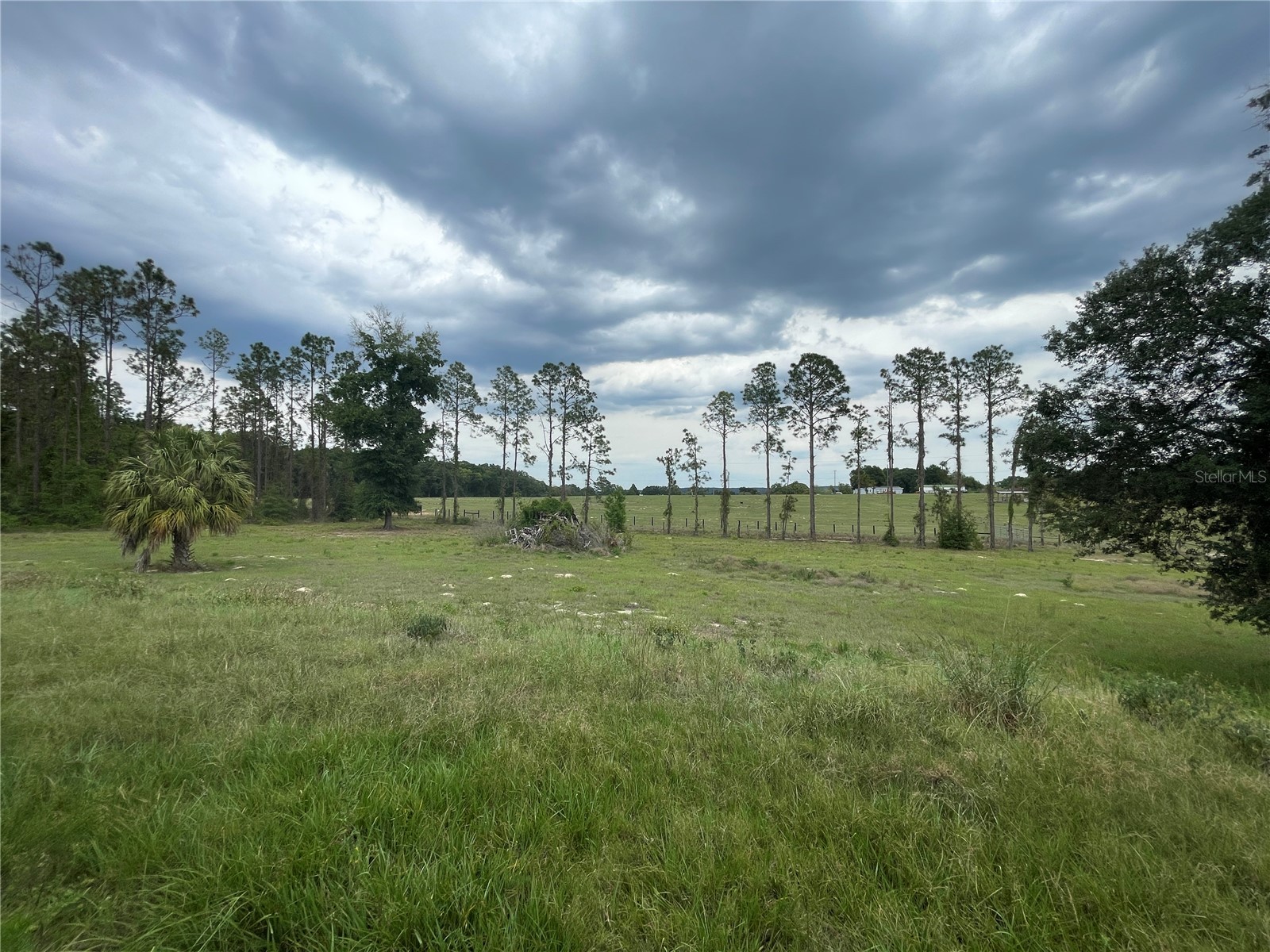 33740 Larkin Rd Dade City FL 33523 TB8502890 image33
