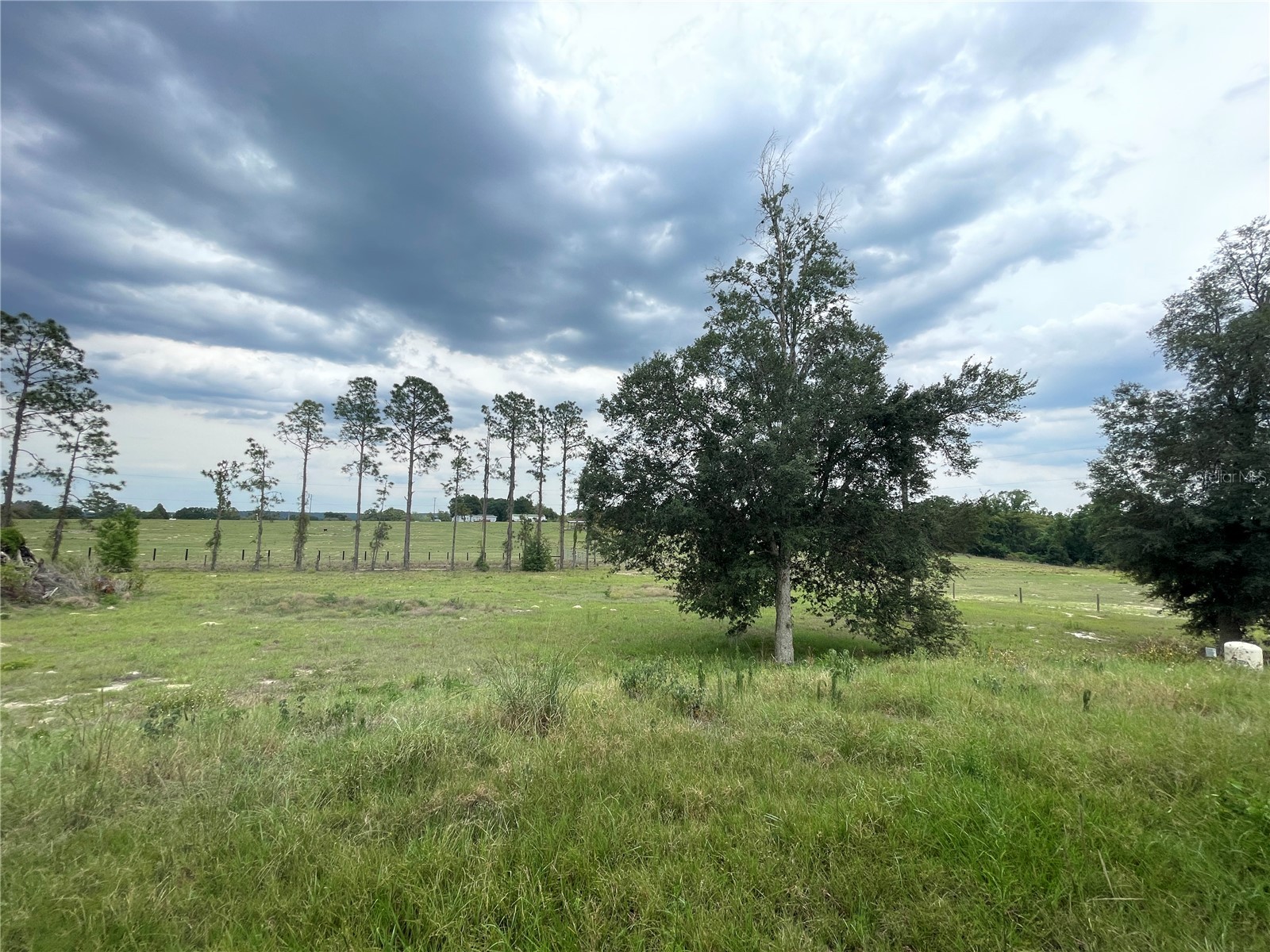33740 Larkin Rd Dade City FL 33523 TB8502890 image34