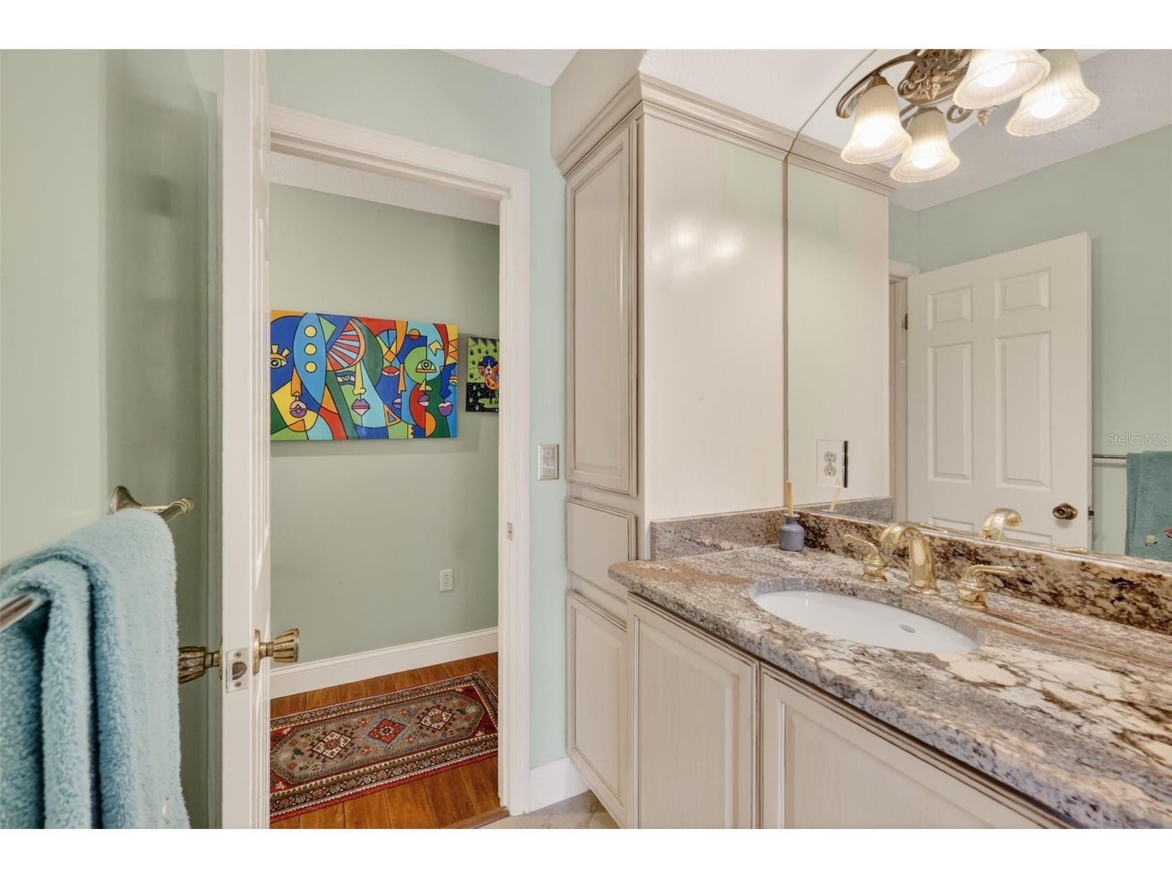 33746 Spring Drive Leesburg FL 34788 G5111682 image42