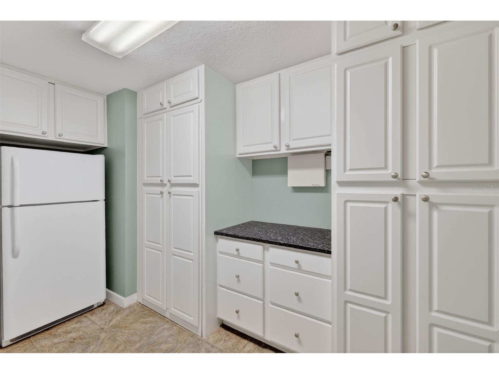 33746 Spring Drive Leesburg FL 34788 G5111682 image48