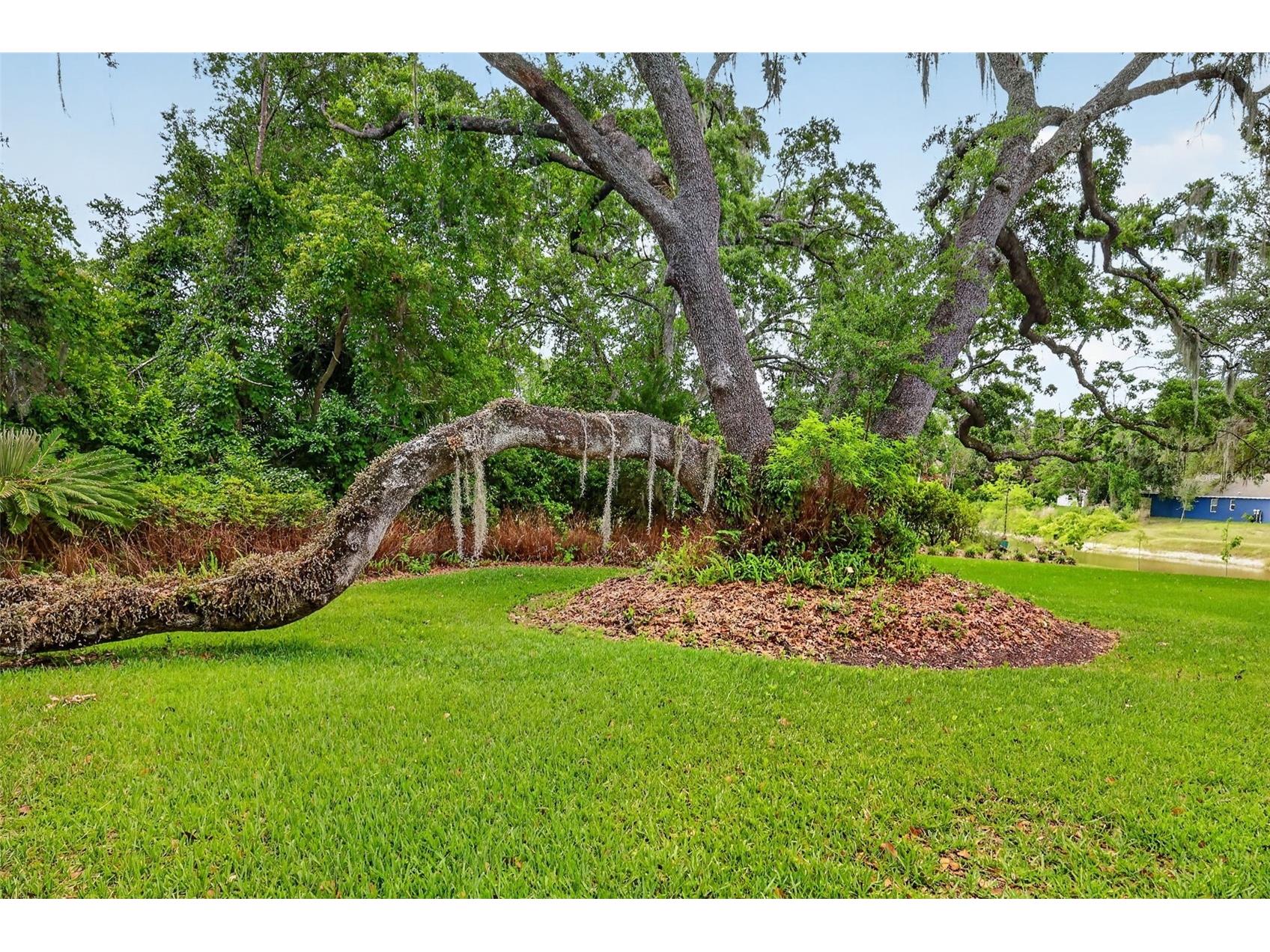 33746 Spring Drive Leesburg FL 34788 G5111682 image60