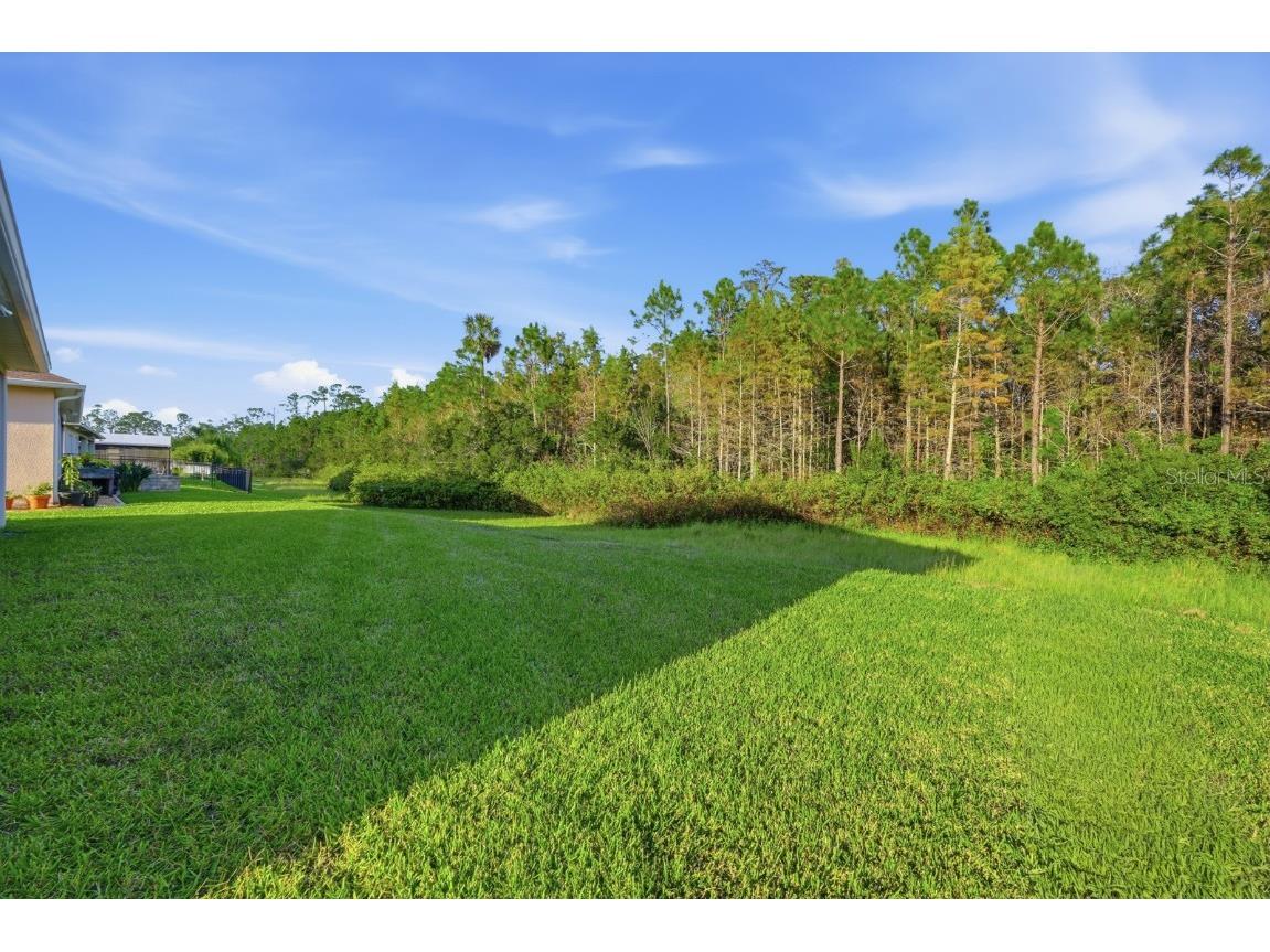 3375 Bellino Blvd. New Smyrna Beach FL 32168 FC313823 image34